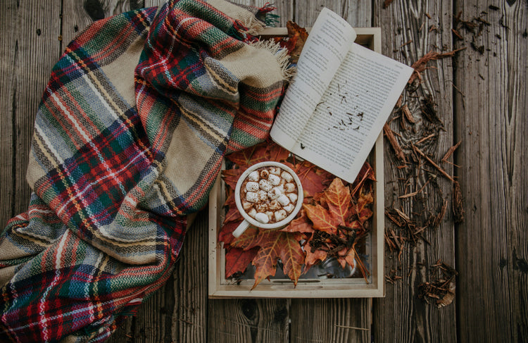 Warm 'n Cosy Vibes - The Dreamer's Bookshop.