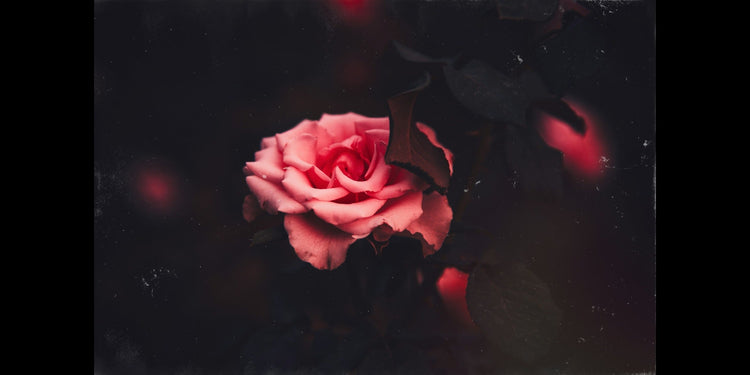 Dark Romance