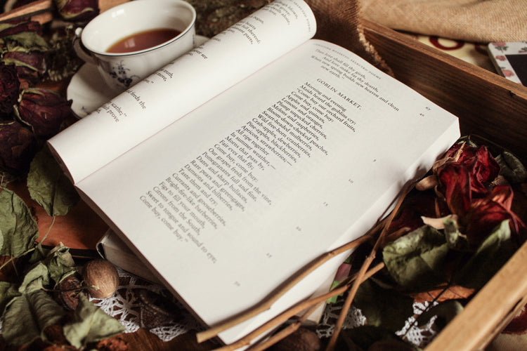 Literary Fiction