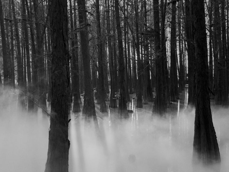 Paranormal