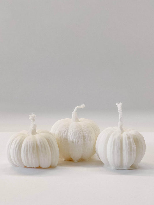 Brickstar Belgium - Pumpkin set - The Dreamer's Bookshop.