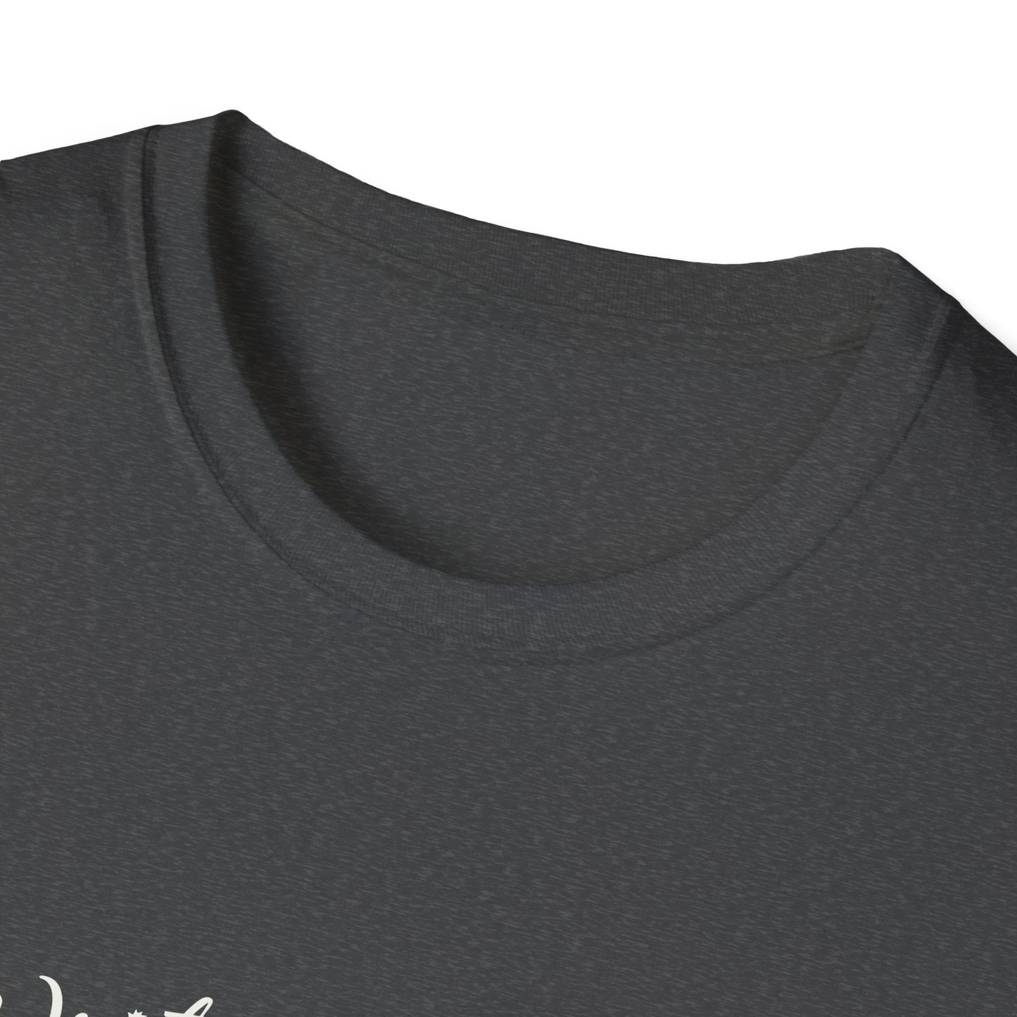 Inspirational Unisex Softstyle T-Shirt - Write the Story