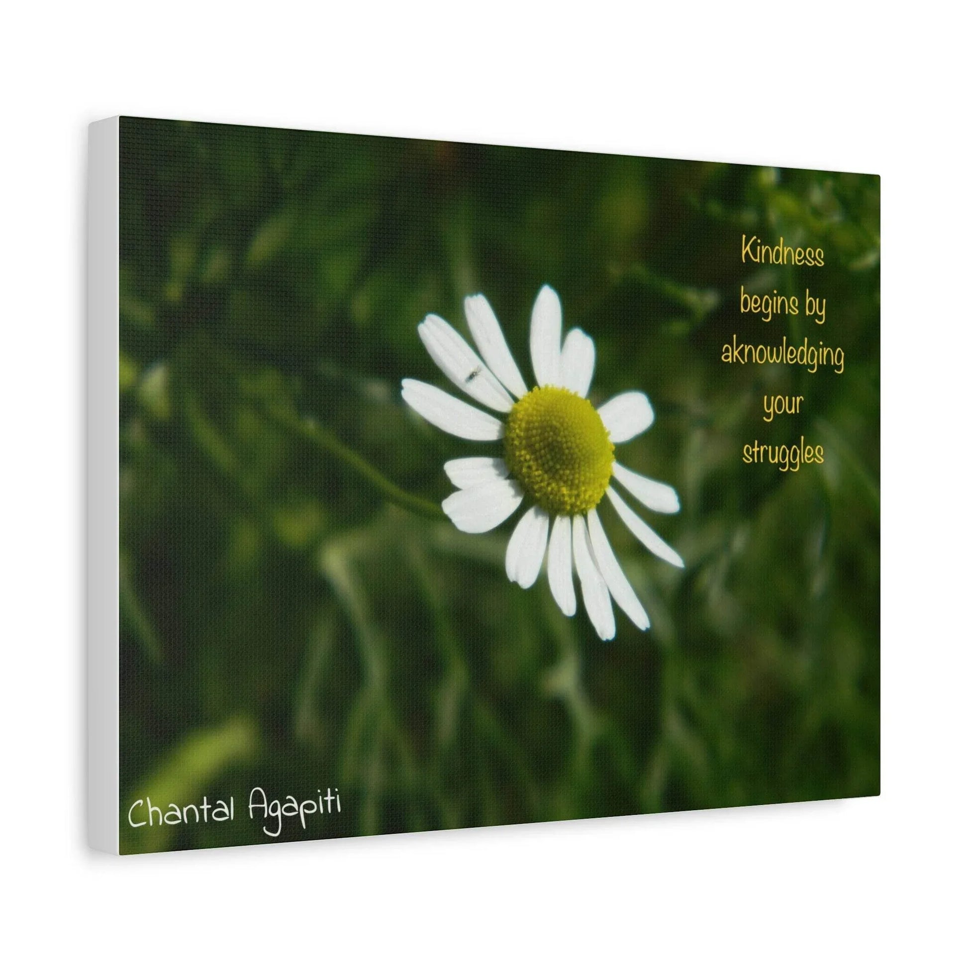Inspirational Canvas Wall Art - Kindness Begins by Acknowledging Your Struggles - The Dreamer's Bookshop.