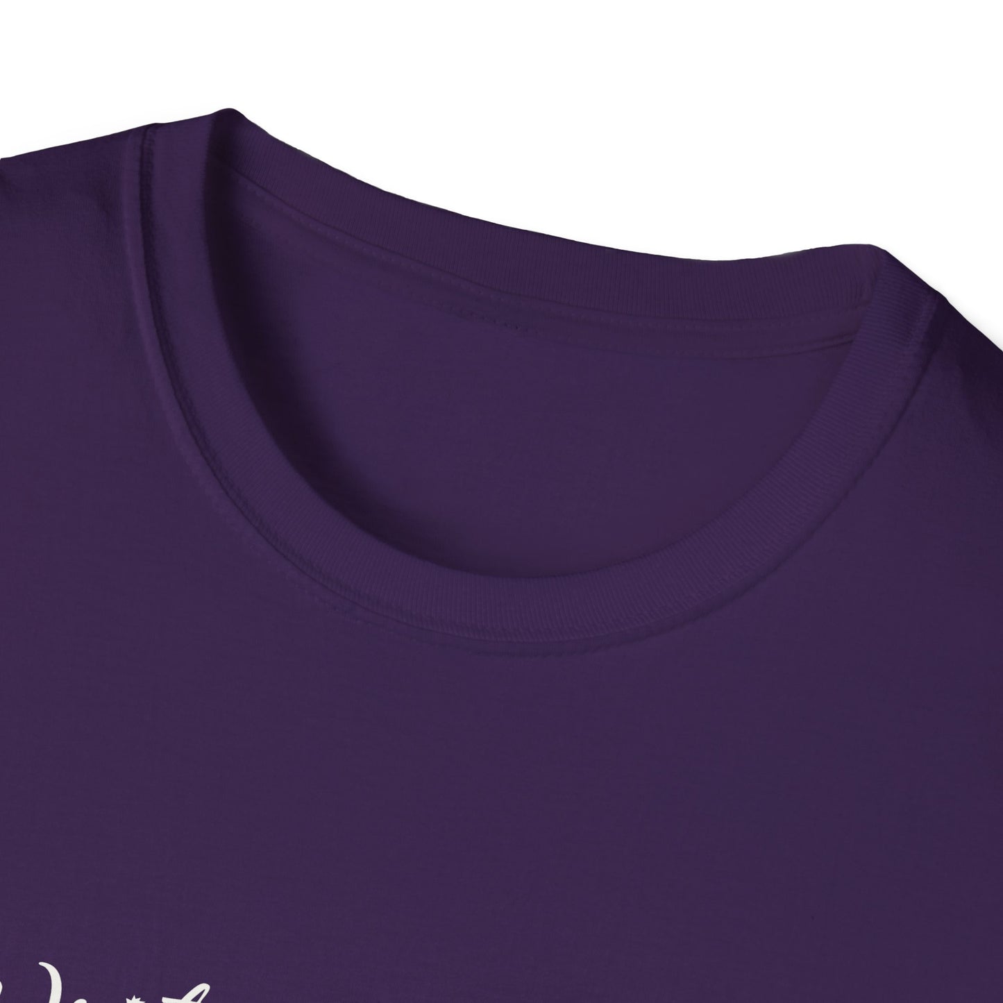 Inspirational Unisex Softstyle T-Shirt - Write the Story