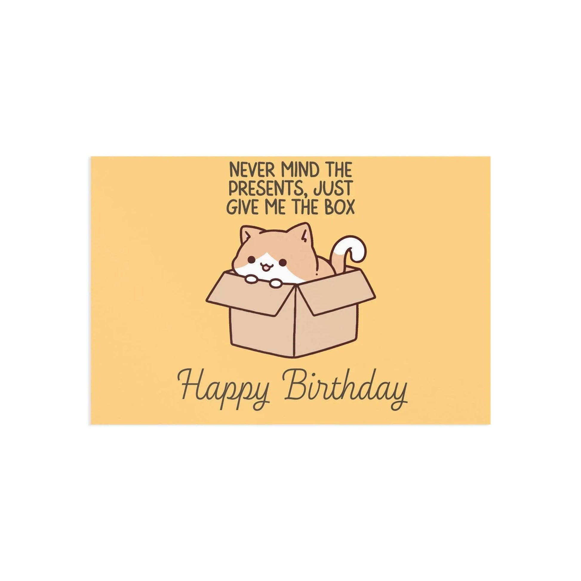 The Dreamer's Bookshop Cute "Leave me the box" Cat Birthday Card - The Dreamer's Bookshop.