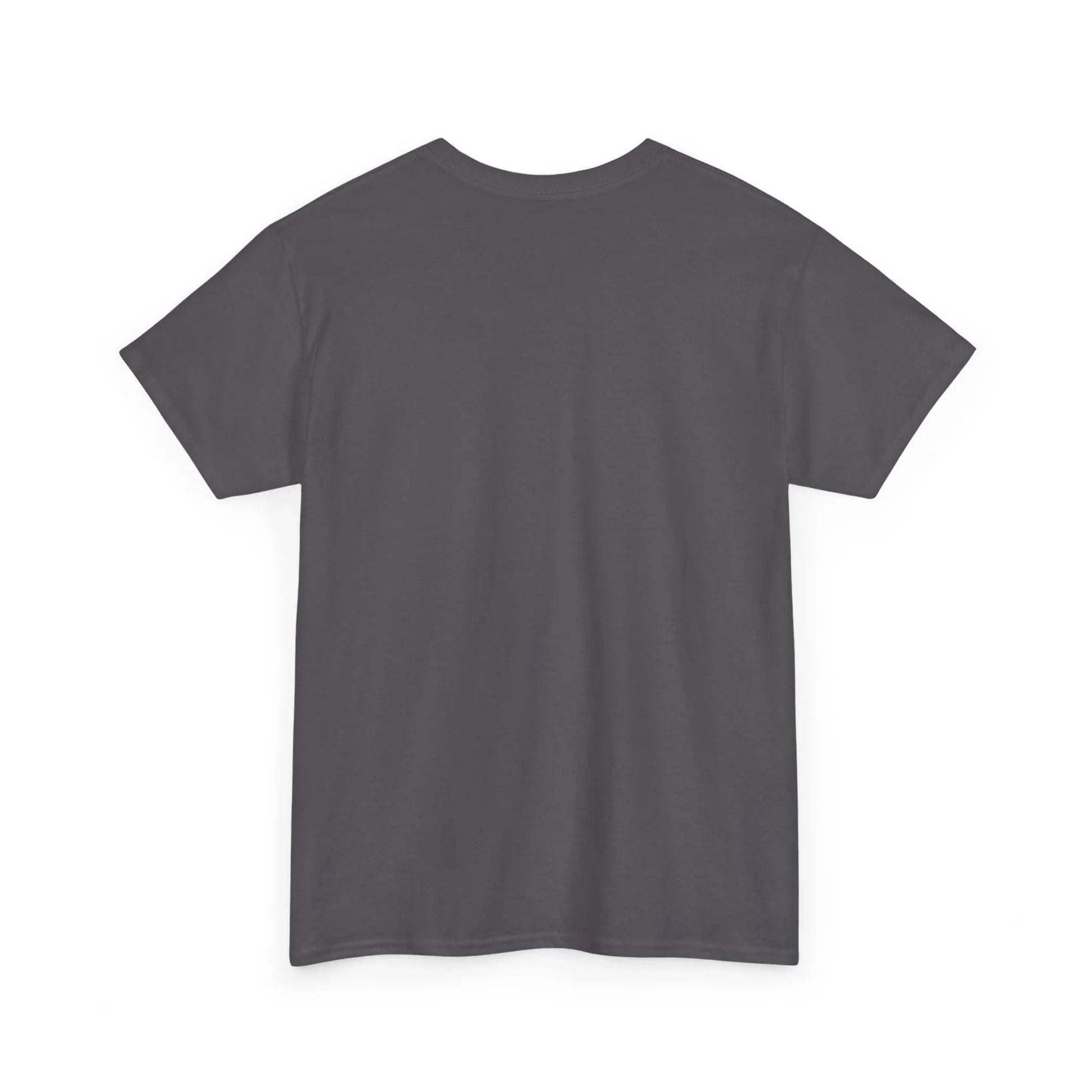 Book Lover's Unisex Heavy Cotton Tee - "Cats Ghostwriters" - The Dreamer's Bookshop.