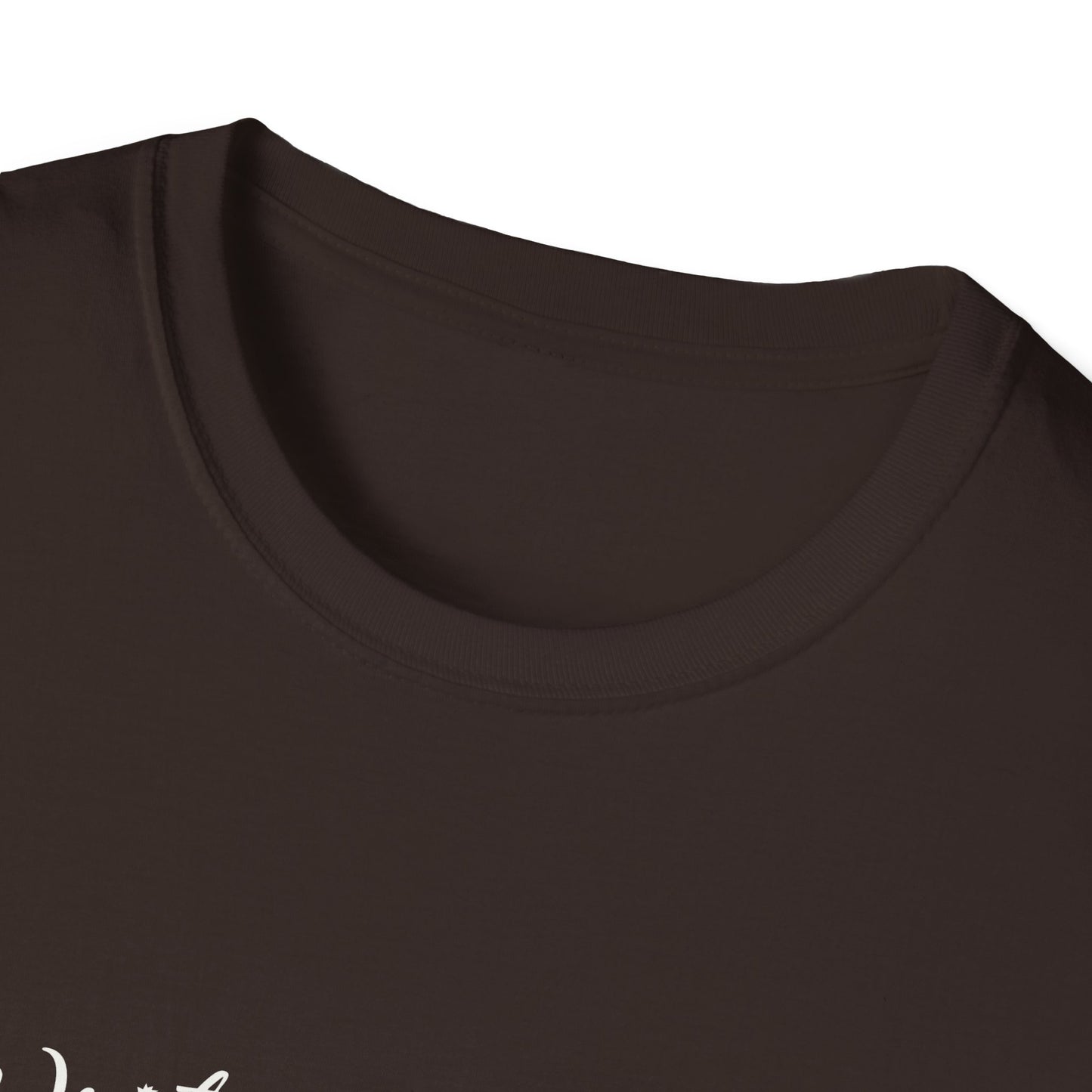 Inspirational Unisex Softstyle T-Shirt - Write the Story