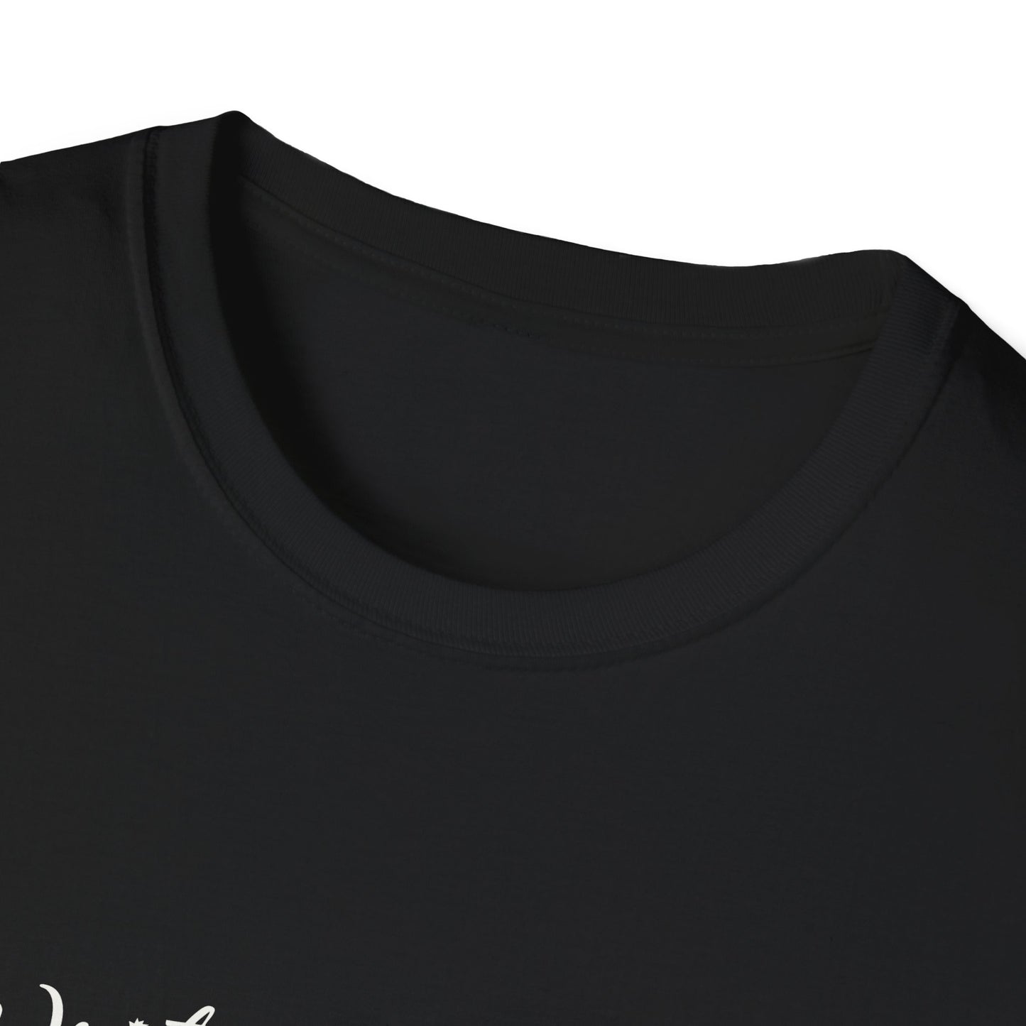 Inspirational Unisex Softstyle T-Shirt - Write the Story