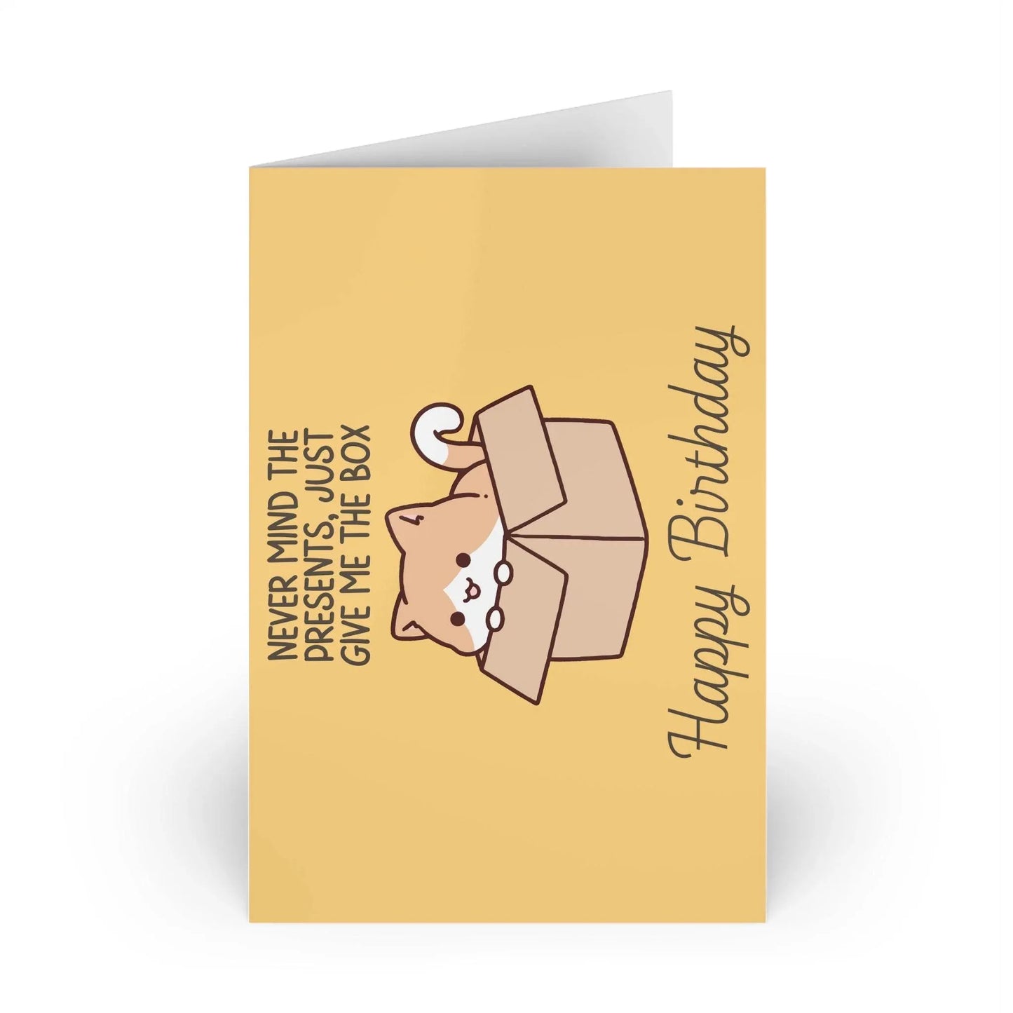 The Dreamer's Bookshop Cute "Give me the box" Cat Birthday Card - The Dreamer's Bookshop.