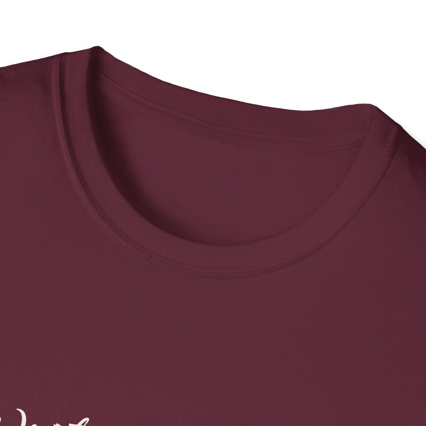 Inspirational Unisex Softstyle T-Shirt - Write the Story