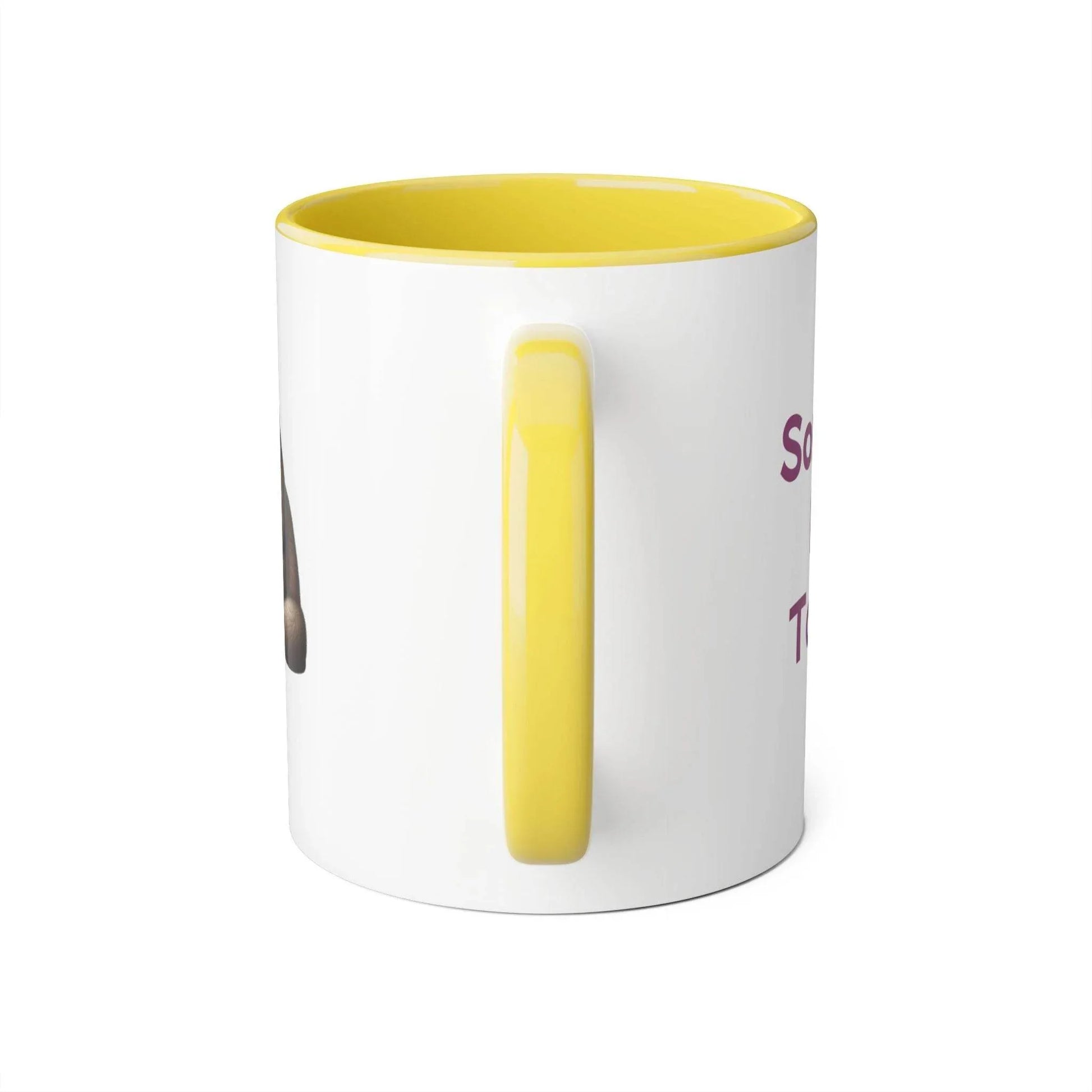 Funny Writer Cat Accent Mug - 11oz Coffee Cup for Book Lovers - The Dreamer's Bookshop.