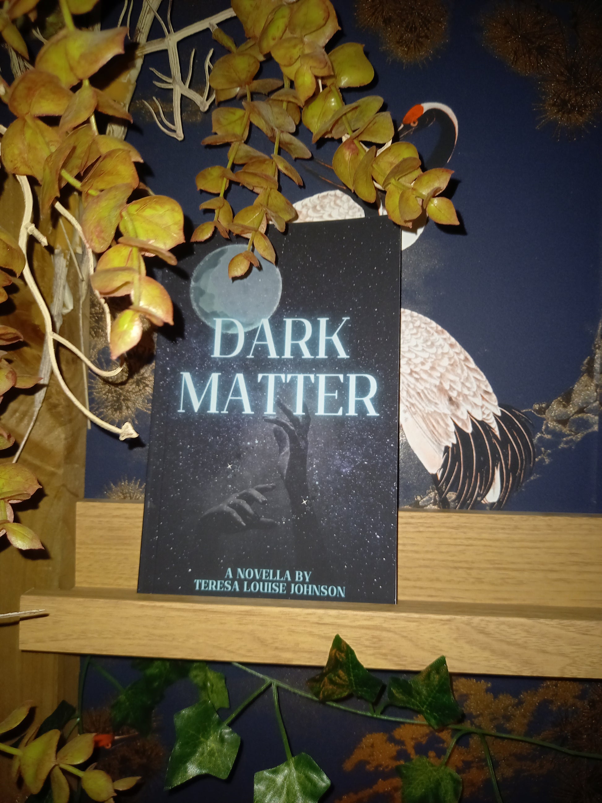A book:Dark Matter.