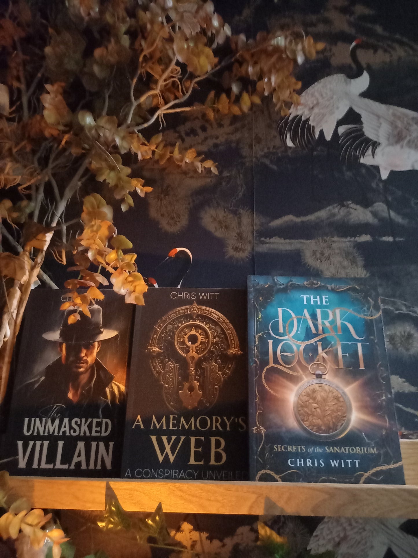 Three books: The Unmasked Villain; A Memory's Web; The Dark Locket.