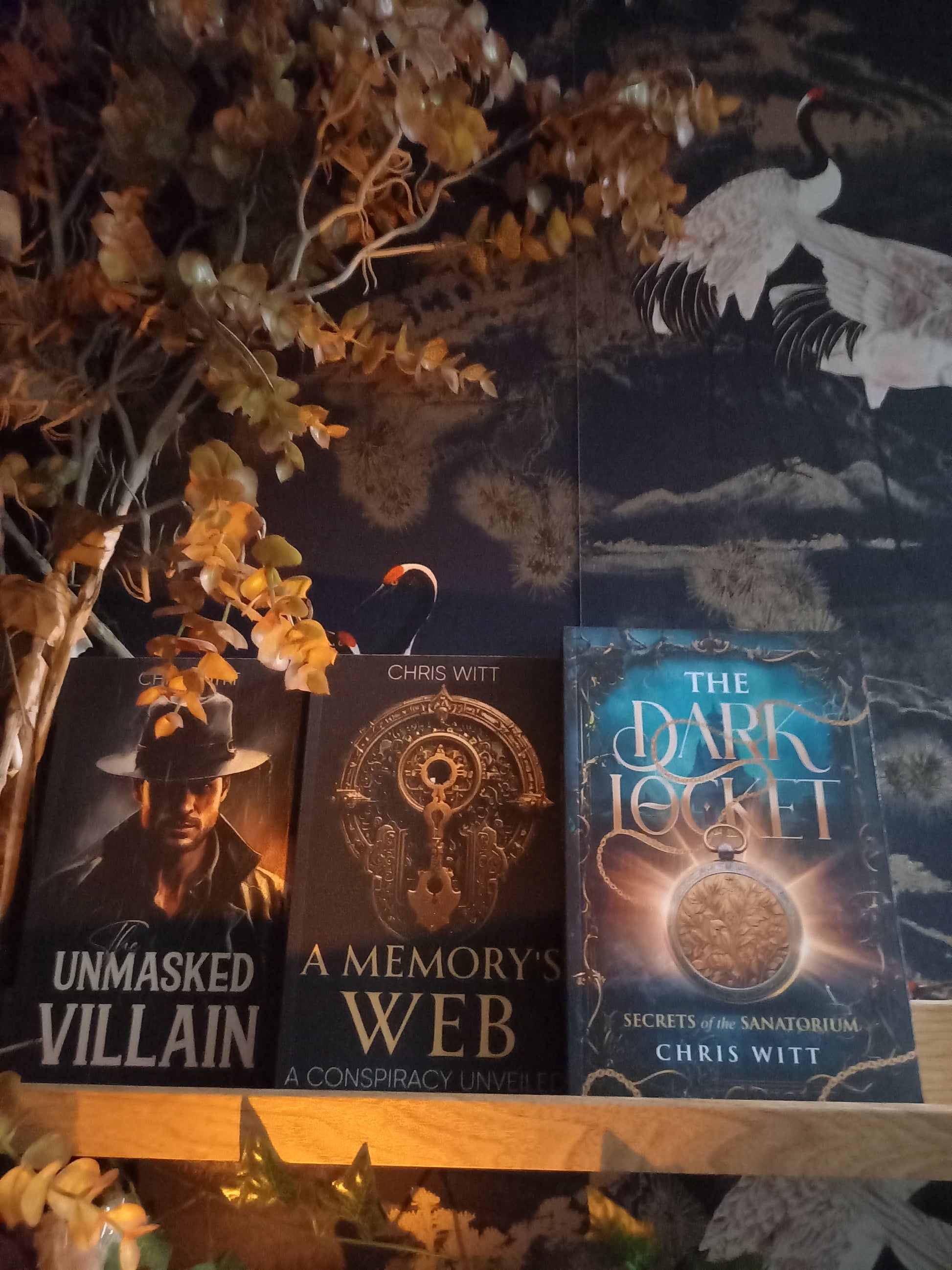 Three books: The Unmasked Villain; A Memory's Web; The Dark Locket.
