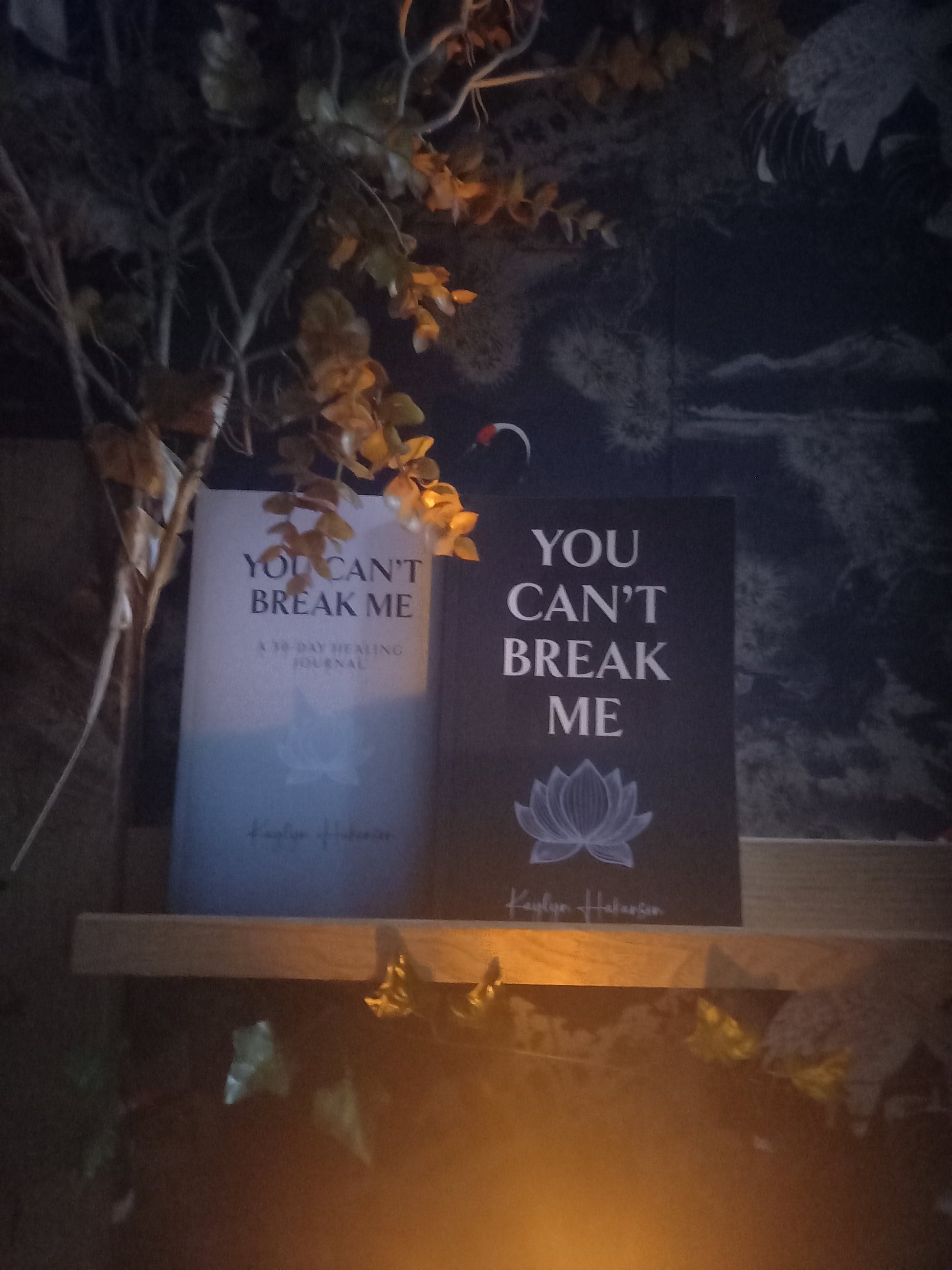 Two books: You can't break me, 30 days journal.