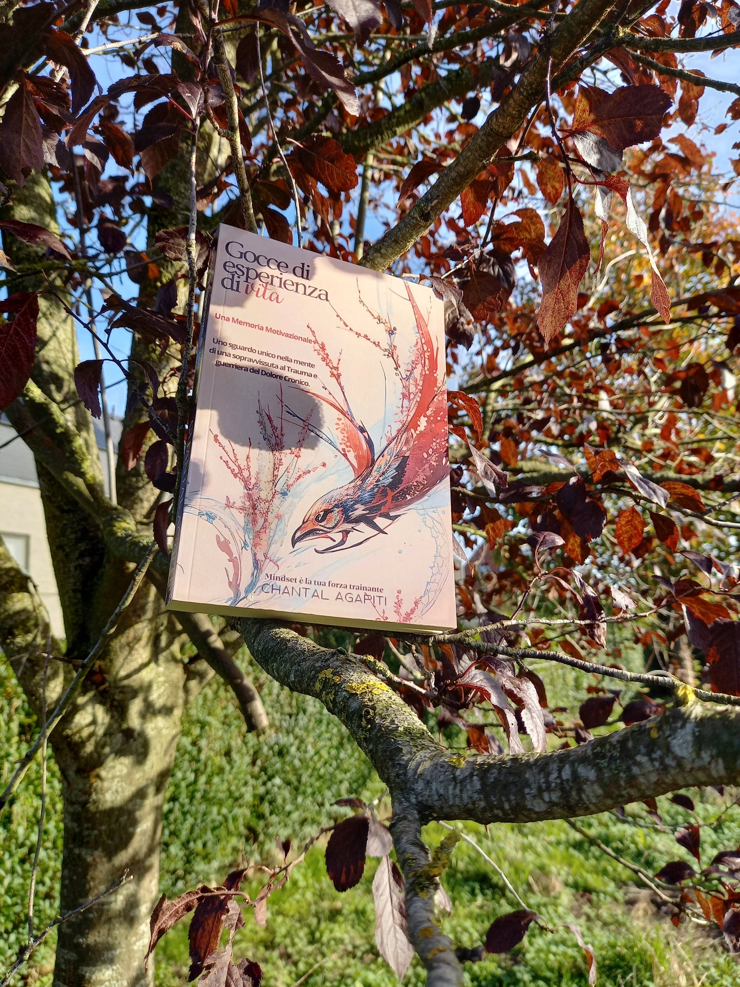 Gocce di Esperienza di Vita: Una Memoria Motivazionale (Italian Edition) · Chantal Agapiti ✦ Indie Paperback