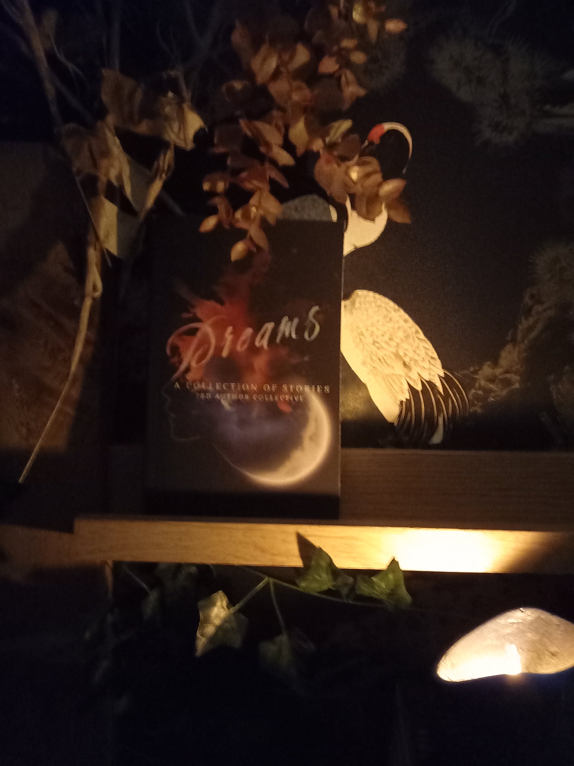 Book cover: Dreams.