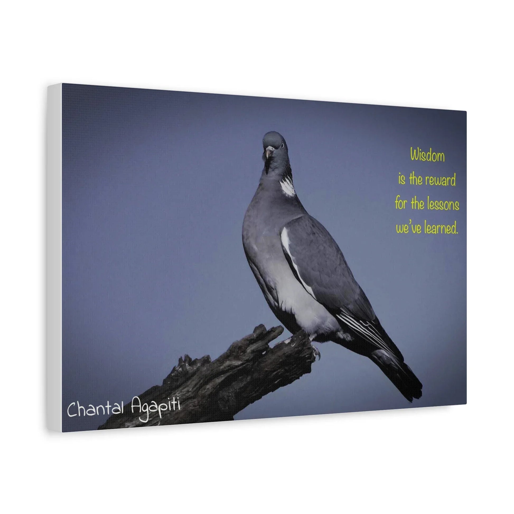 Inspirational Bird Canvas Art - "Wisdom is the Reward" - The Dreamer's Bookshop.