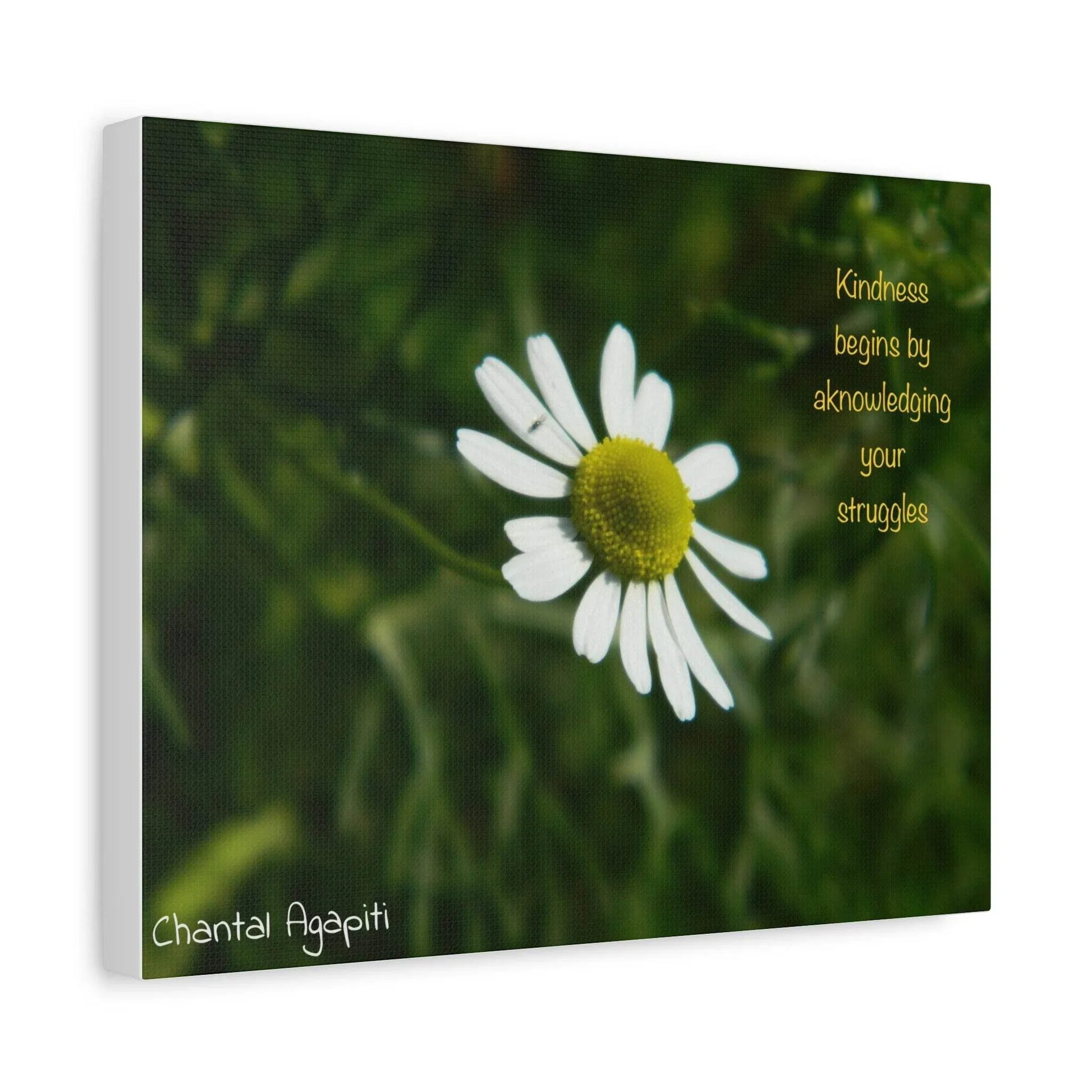 Inspirational Canvas Wall Art - Kindness Begins by Acknowledging Your Struggles - The Dreamer's Bookshop.