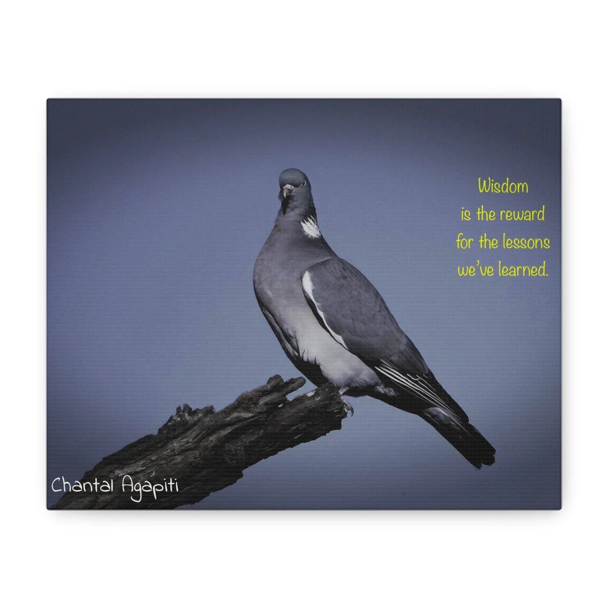 Inspirational Bird Canvas Art - "Wisdom is the Reward" - The Dreamer's Bookshop.