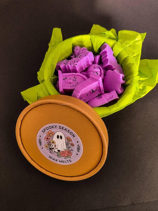 Brickstar Belgium - Spooky Season Wax Melts – Grote Set - The Dreamer's Bookshop.