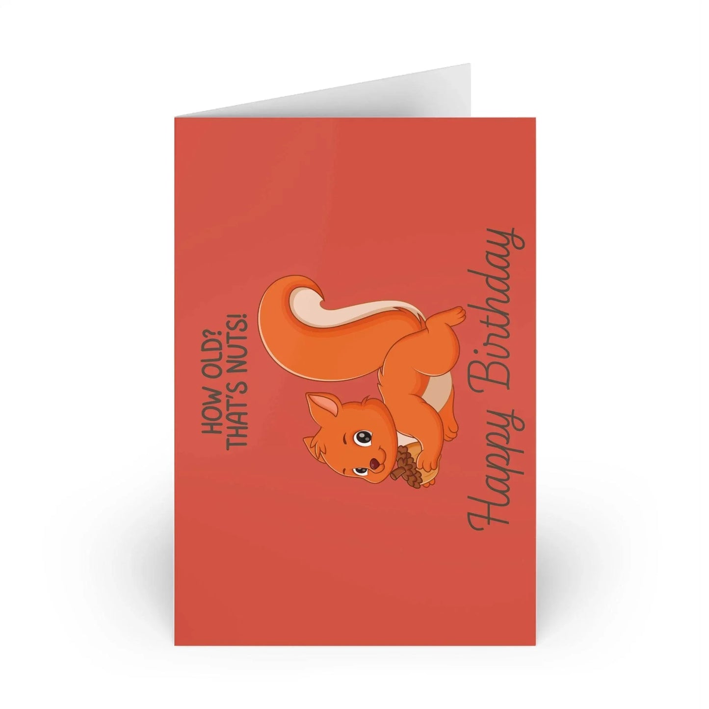 The Dreamer's Bookshop Cute "That's Nuts" Squirrel Birthday Card - The Dreamer's Bookshop.