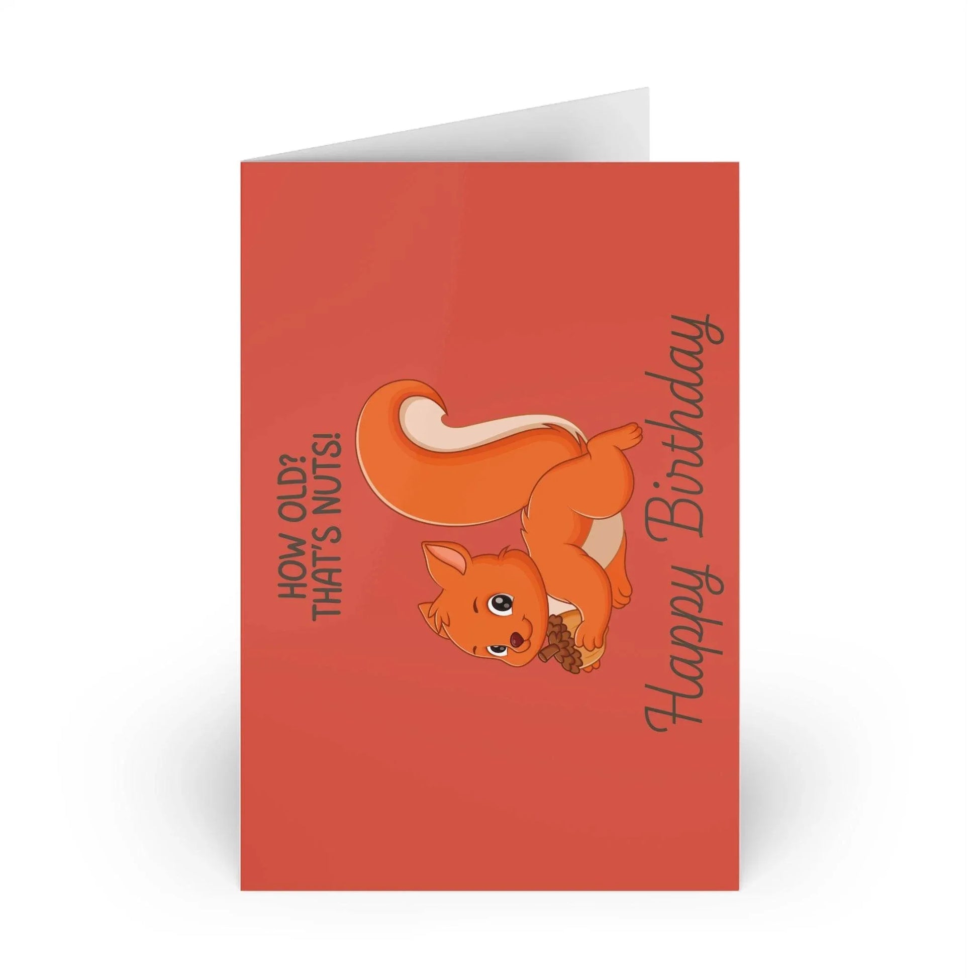 The Dreamer's Bookshop Cute "That's Nuts" Squirrel Birthday Card - The Dreamer's Bookshop.
