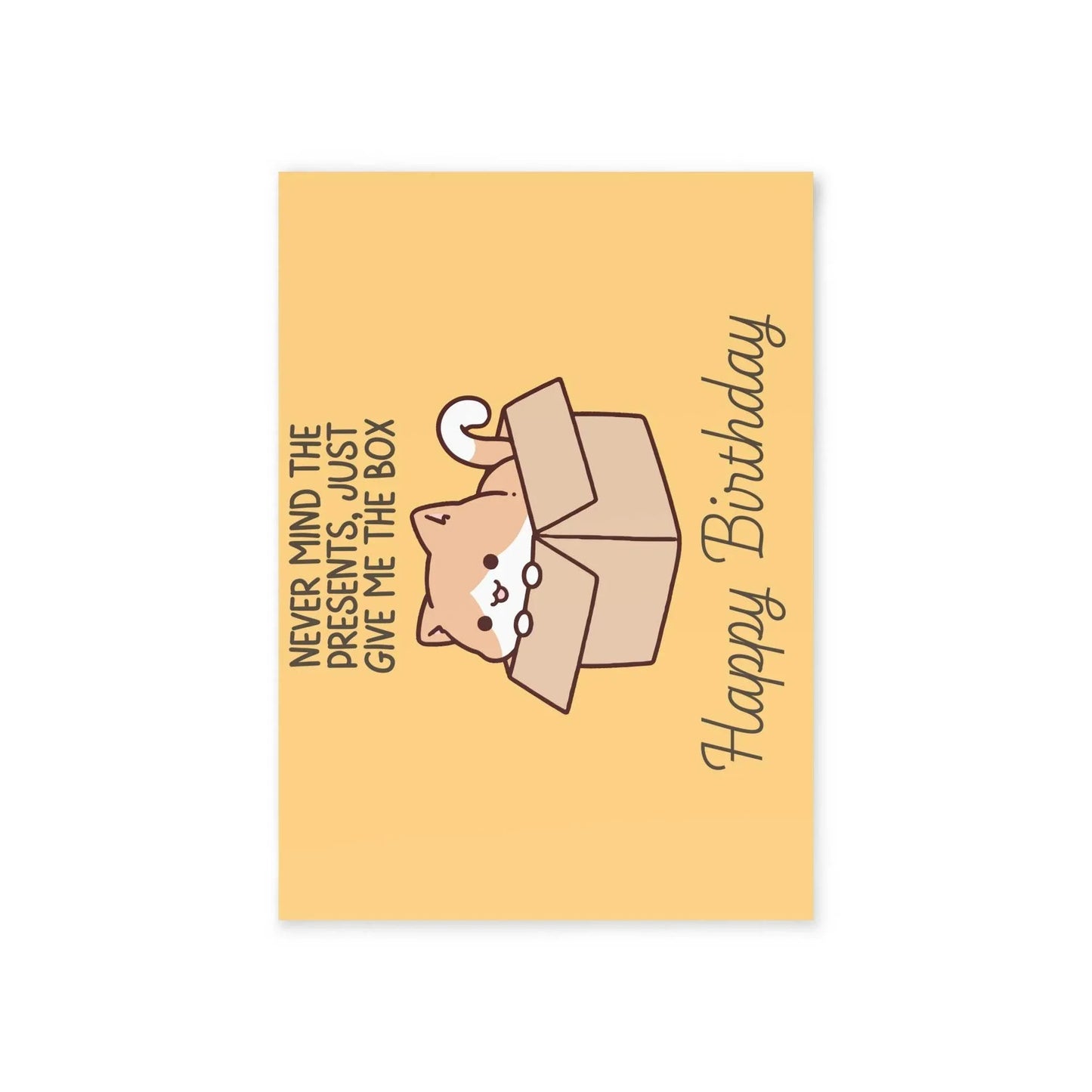The Dreamer's Bookshop Cute "Give me the Box" Cat Birthday Card - The Dreamer's Bookshop.