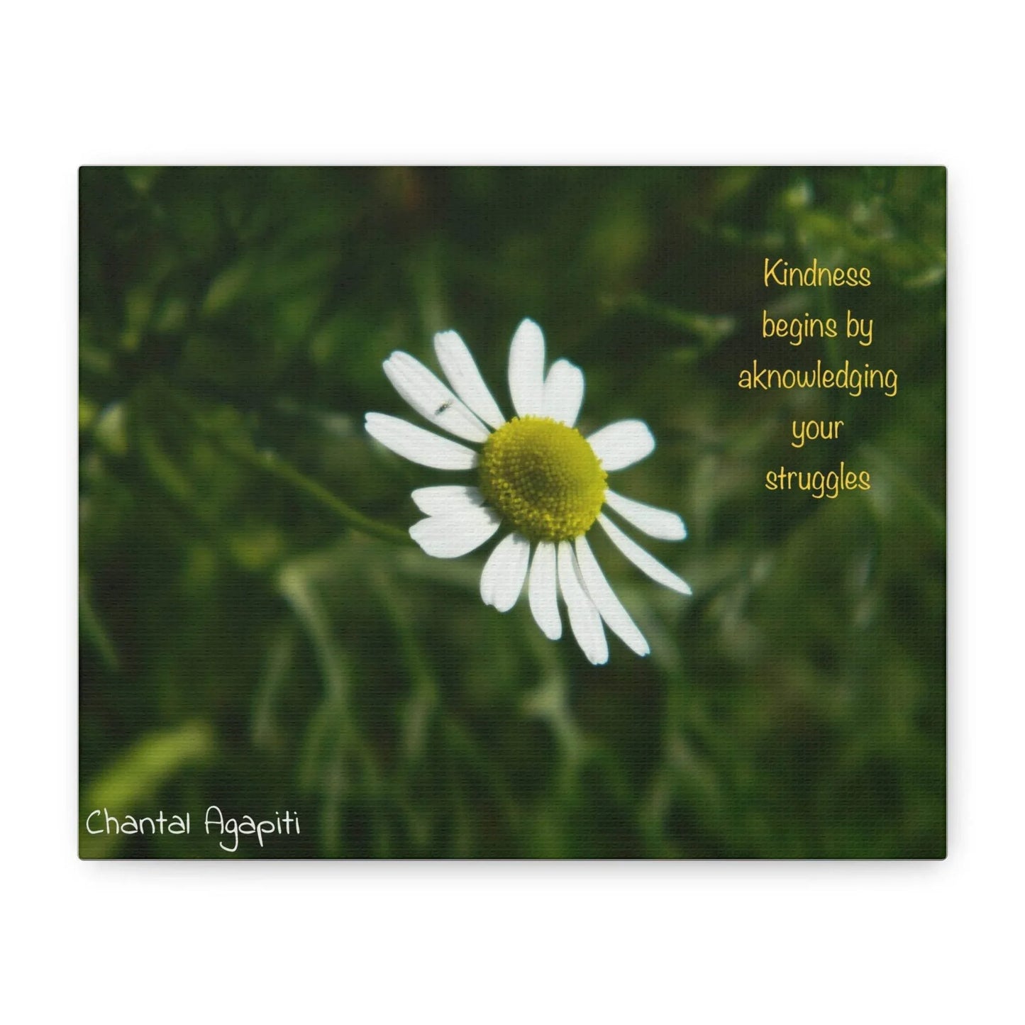 Inspirational Canvas Wall Art - Kindness Begins by Acknowledging Your Struggles - The Dreamer's Bookshop.