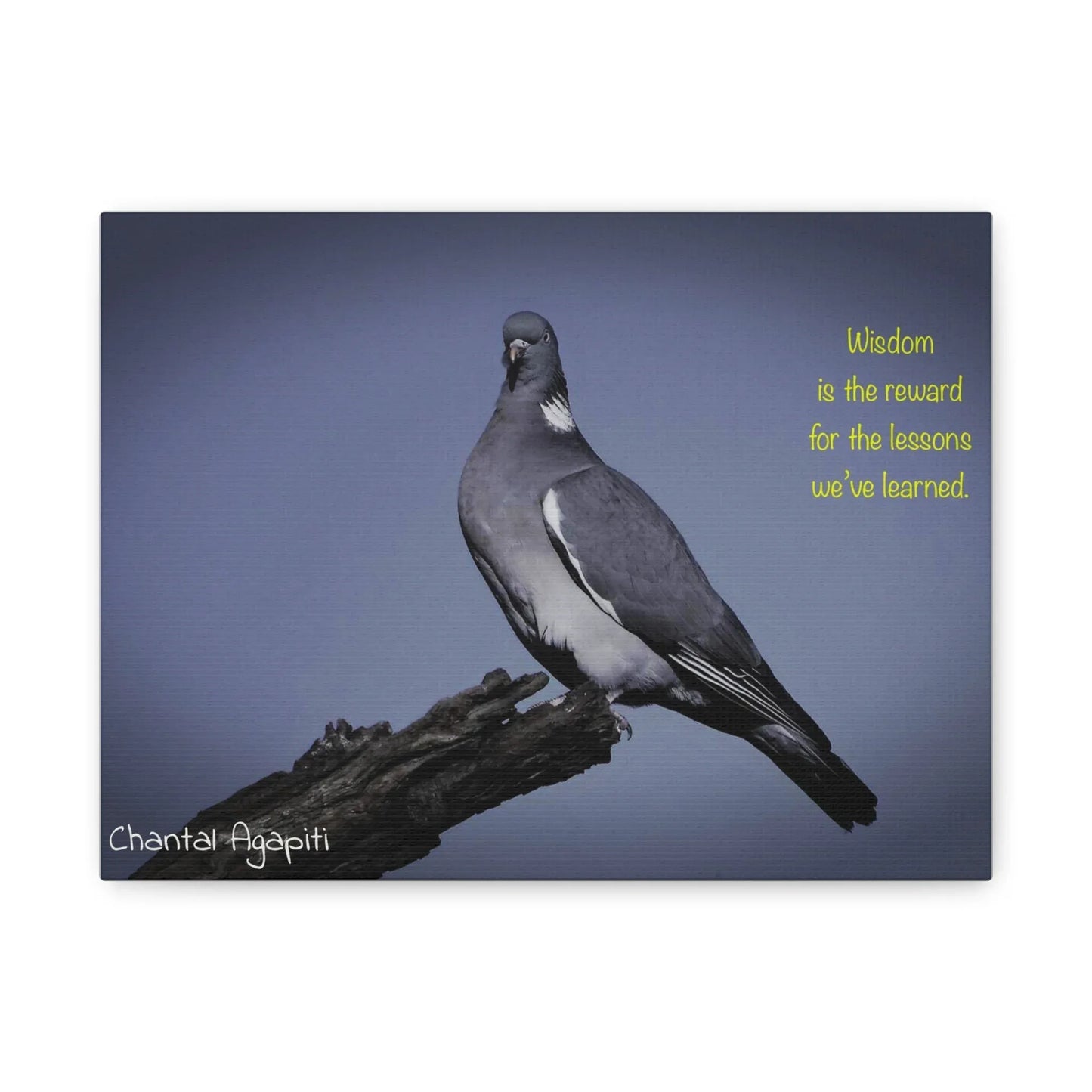 Inspirational Bird Canvas Art - "Wisdom is the Reward" - The Dreamer's Bookshop.