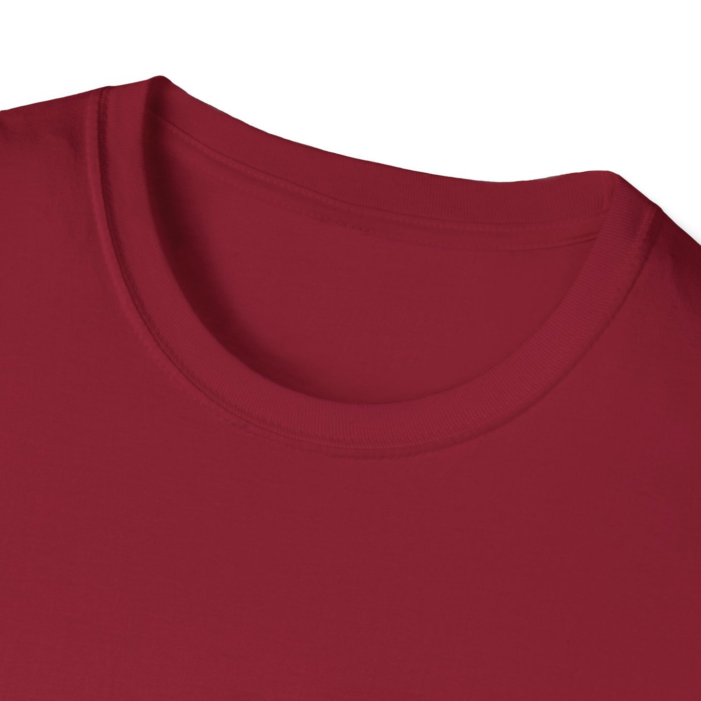 Inspirational Unisex Softstyle T-Shirt - Write the Story