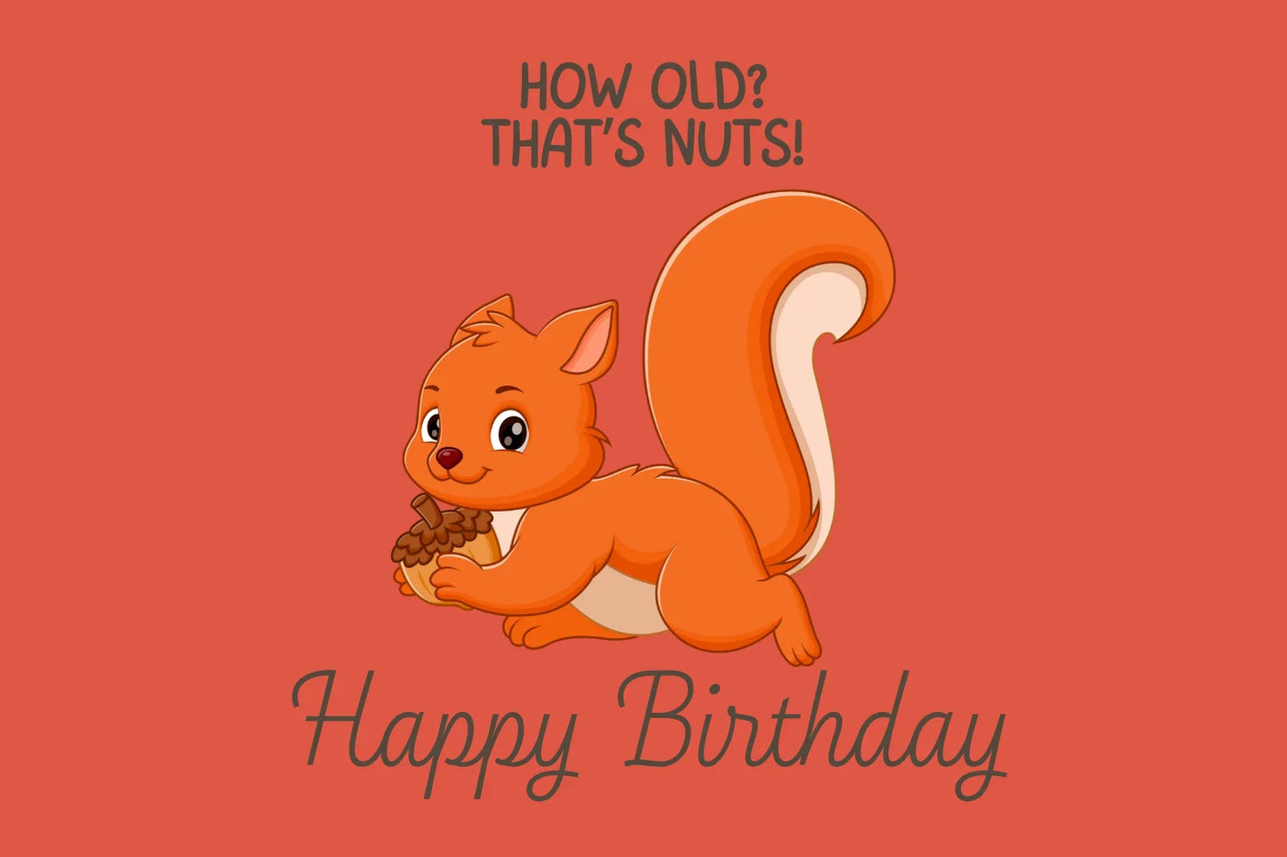 The Dreamer's Bookshop "That's Nuts" Happy Birthday Card - The Dreamer's Bookshop.