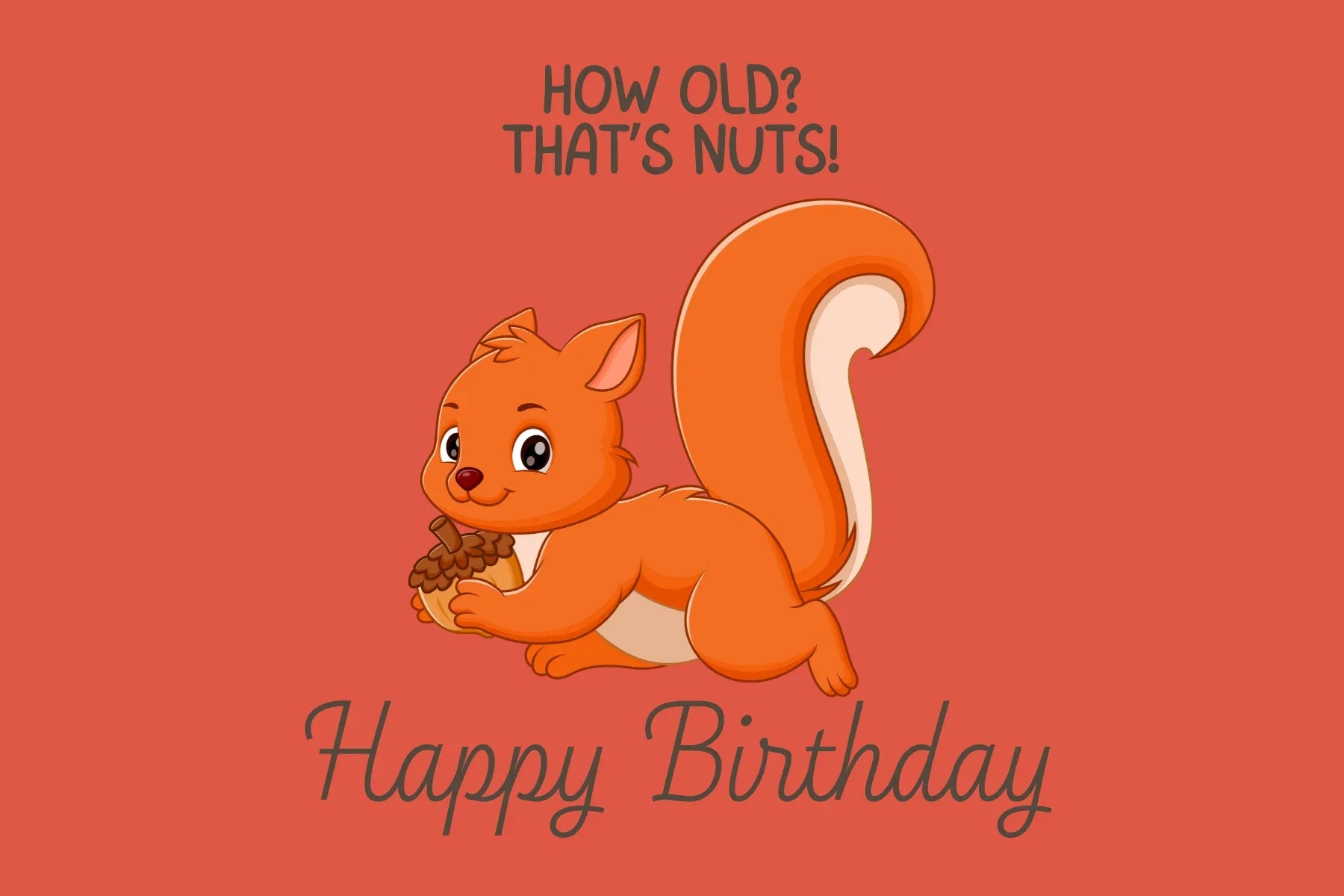 The Dreamer's Bookshop "That's Nuts" Happy Birthday Card - The Dreamer's Bookshop.