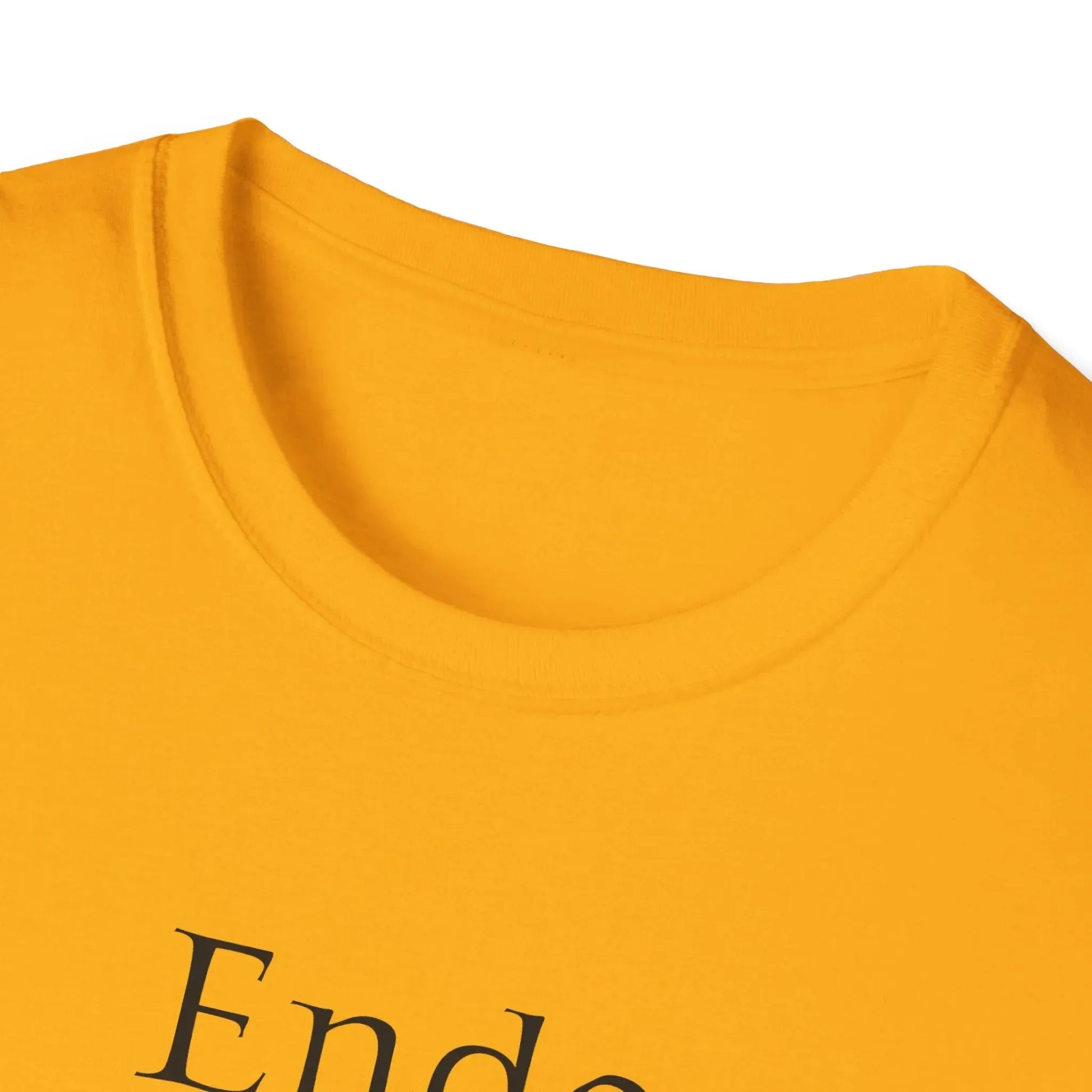 Endometriosis Warrior Unisex Softstyle T-Shirt - Empowering Battle for Women's Health - The Dreamer's Bookshop.