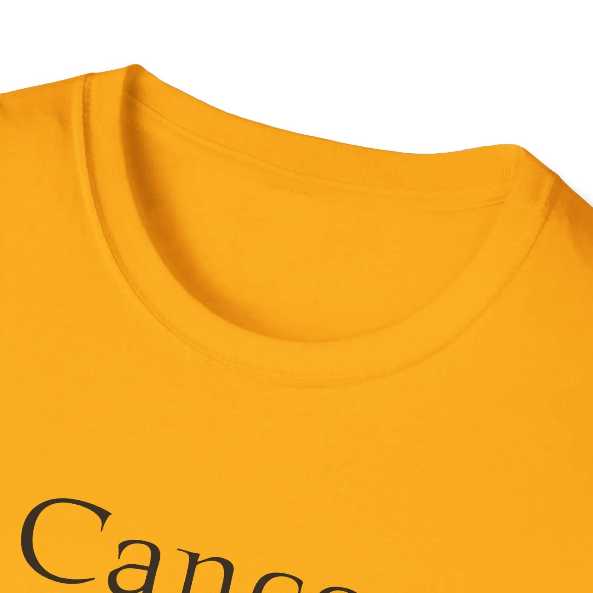 Cancer Warrior Unisex Softstyle T-Shirt - Empowering Battle for Women's Health - The Dreamer's Bookshop.