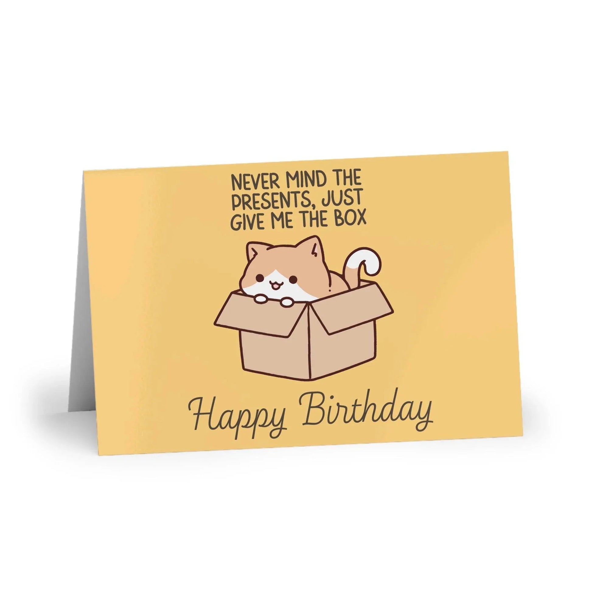 The Dreamer's Bookshop Cute "Give me the box" Cat Birthday Card - The Dreamer's Bookshop.