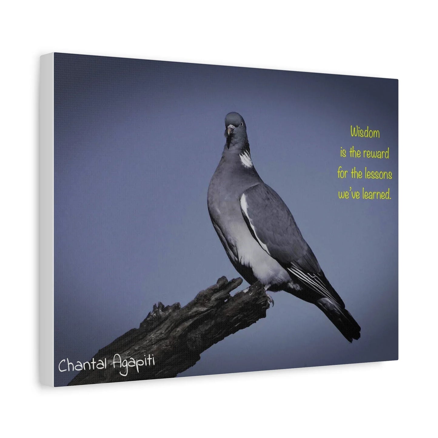 Inspirational Bird Canvas Art - "Wisdom is the Reward" - The Dreamer's Bookshop.