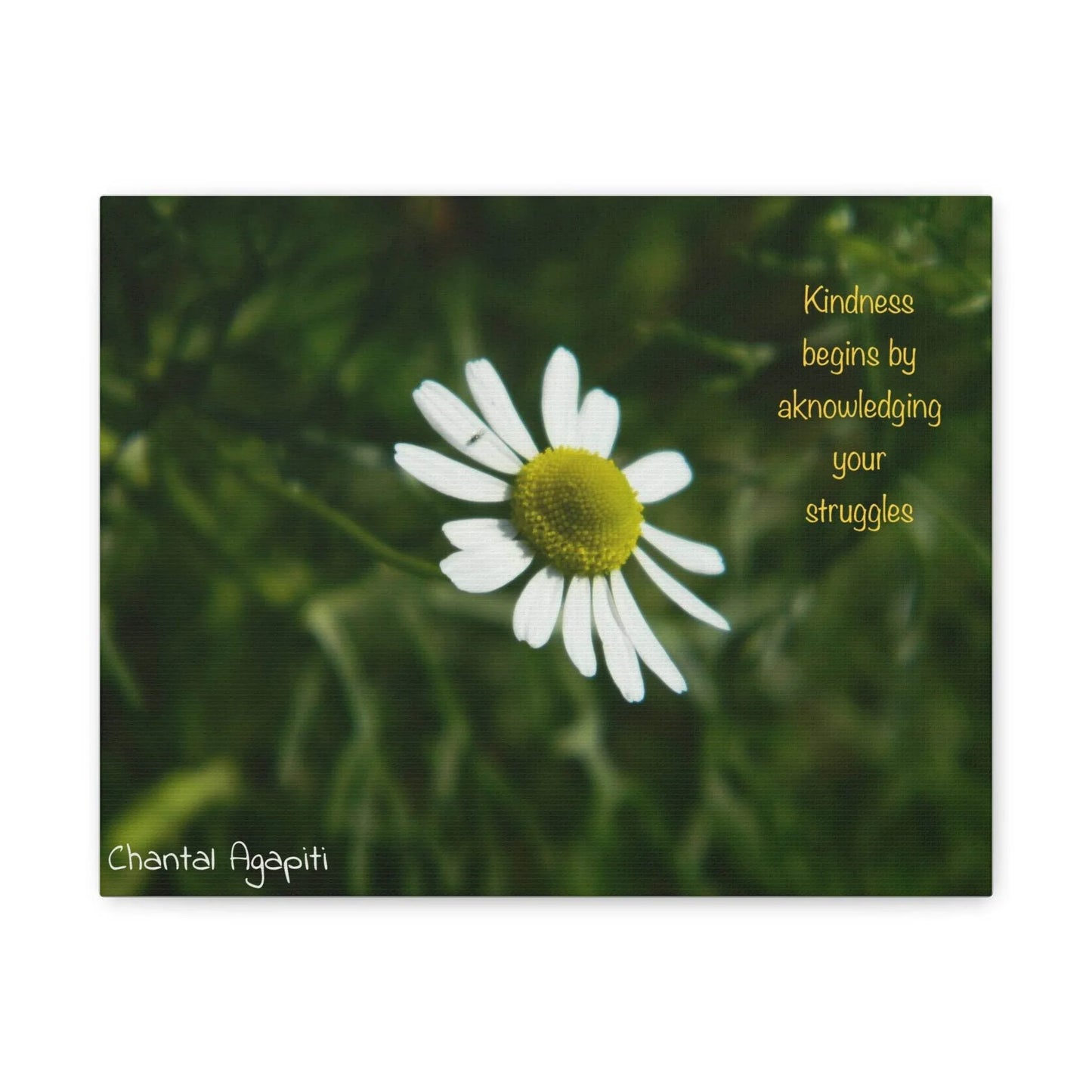 Inspirational Canvas Wall Art - Kindness Begins by Acknowledging Your Struggles - The Dreamer's Bookshop.