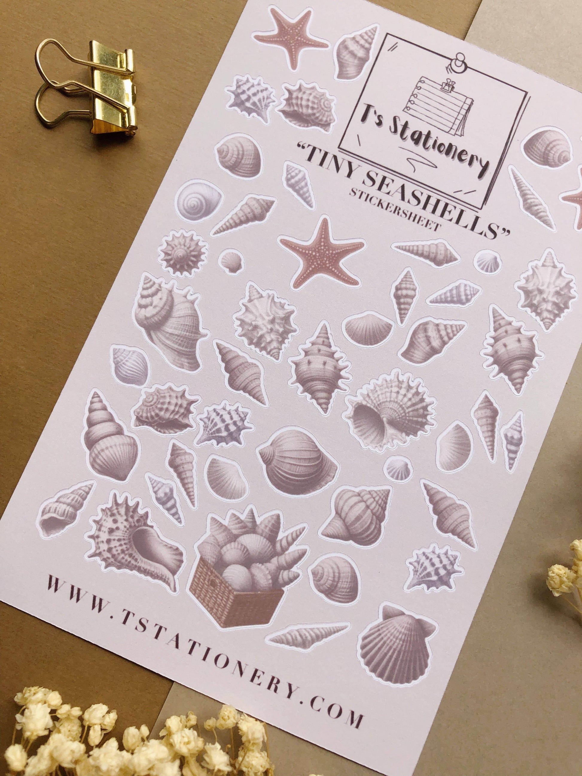 T's Stationery - Stickervel „Tiny Seashells” - The Dreamer's Bookshop.