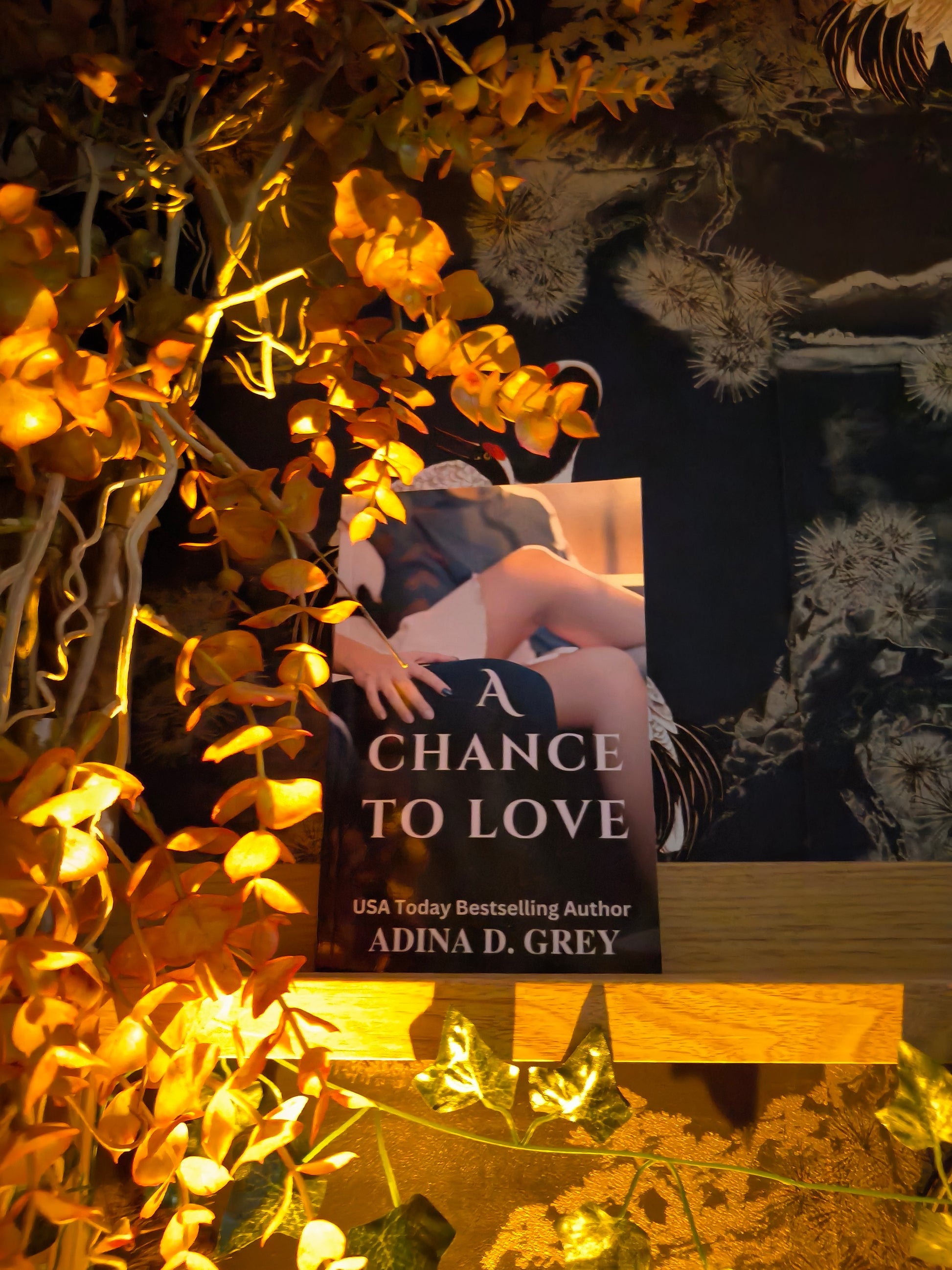 A book: A Chance to Love.
