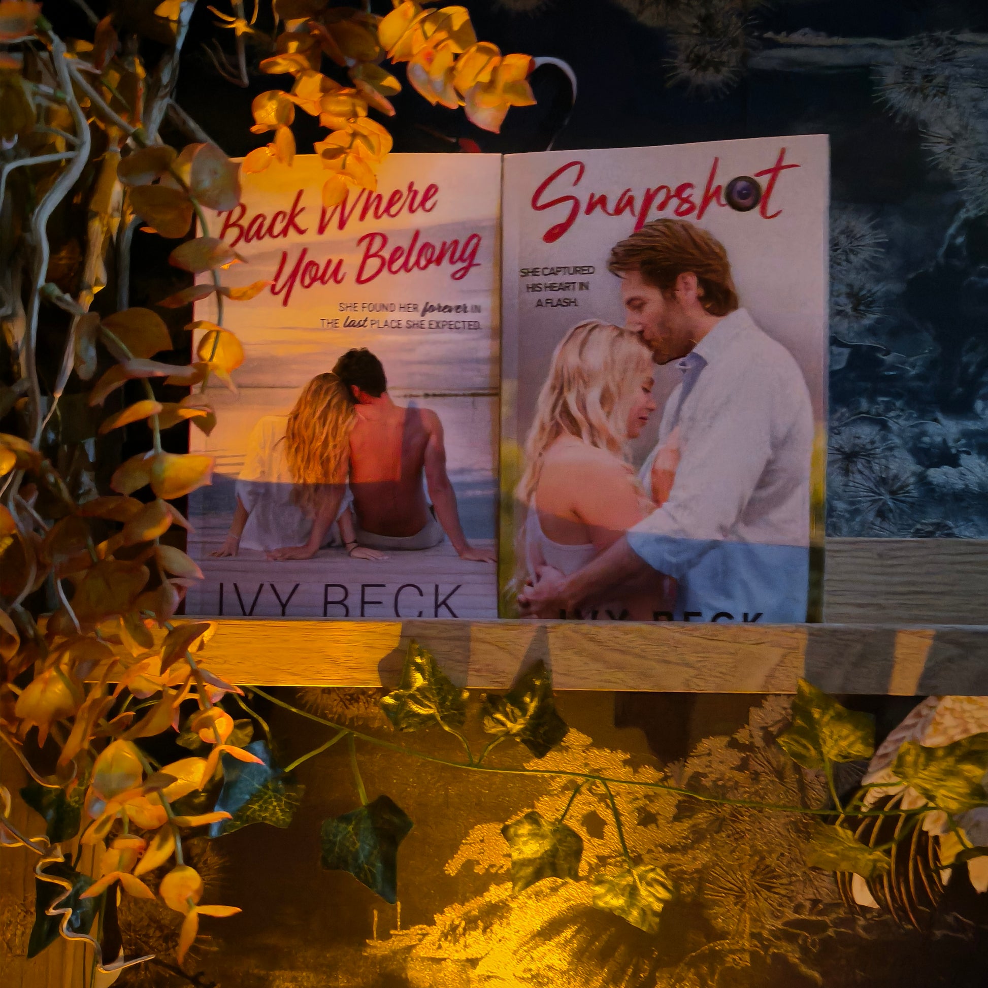 Two books: Back where you belong, Snapshot.