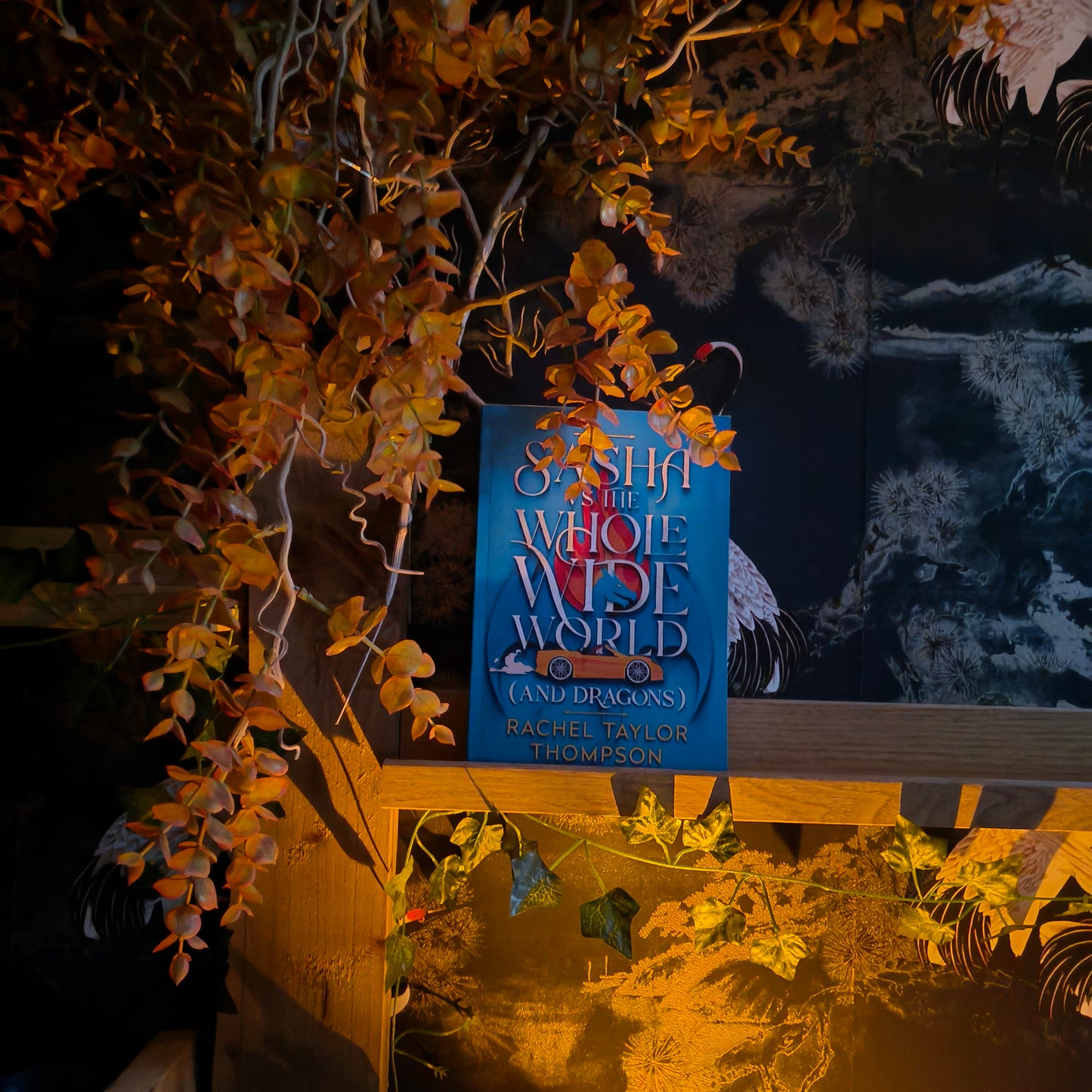 A book; Sasha vs the WHole Wide World (and dragons).