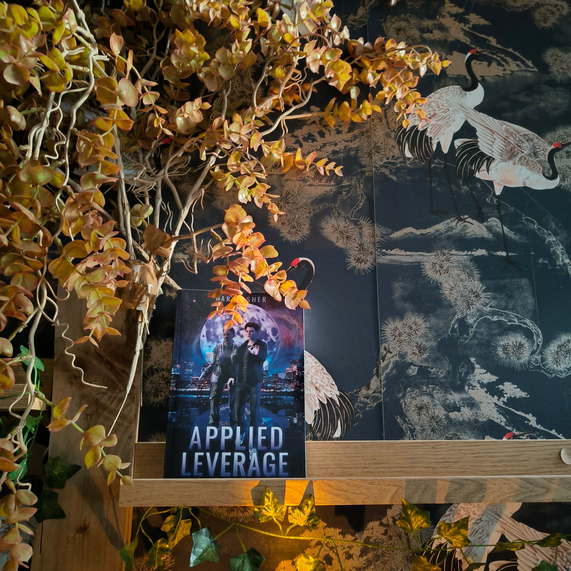 A book: Applied Leverage.