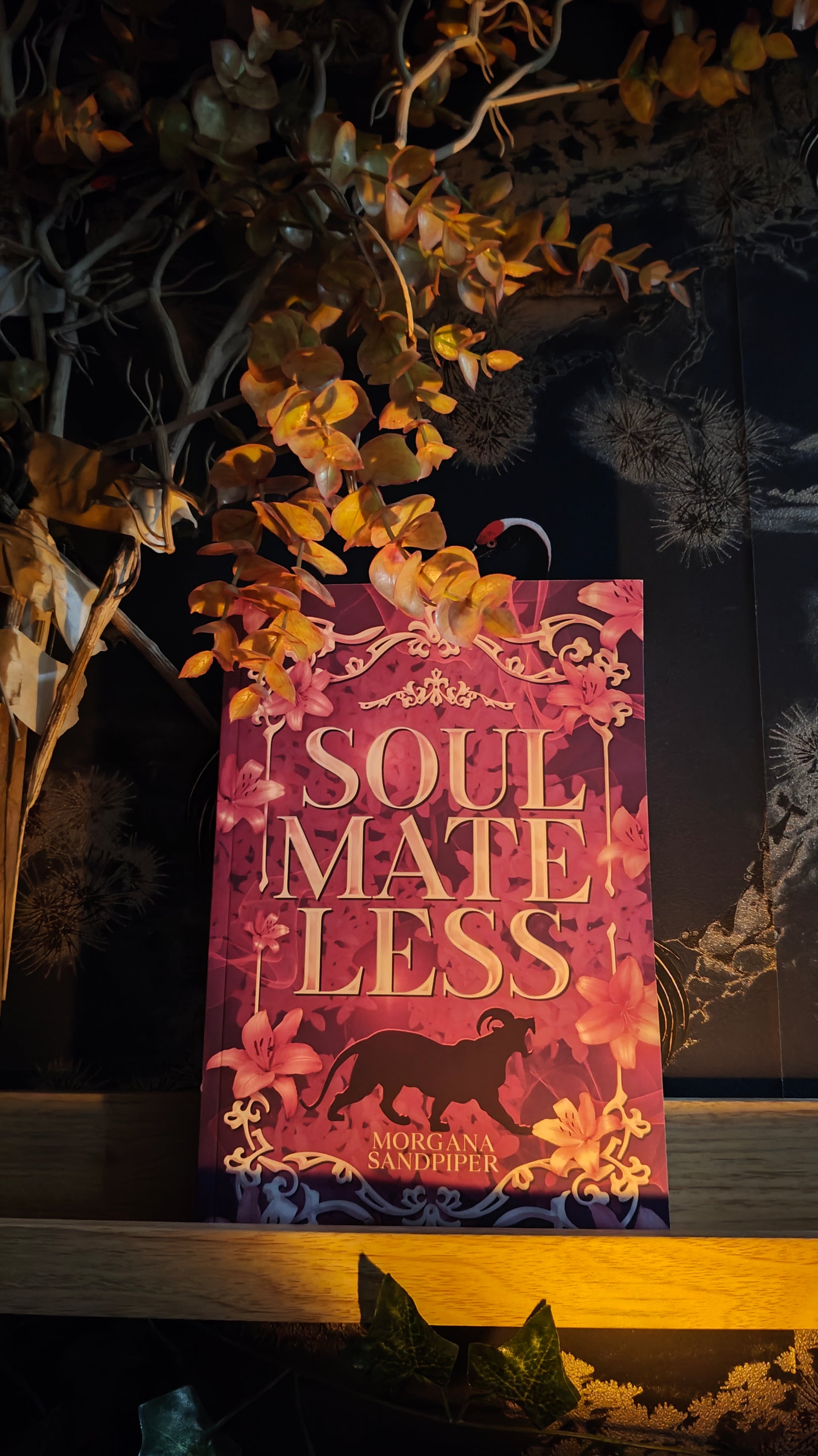 A book cover: Soulmateless.