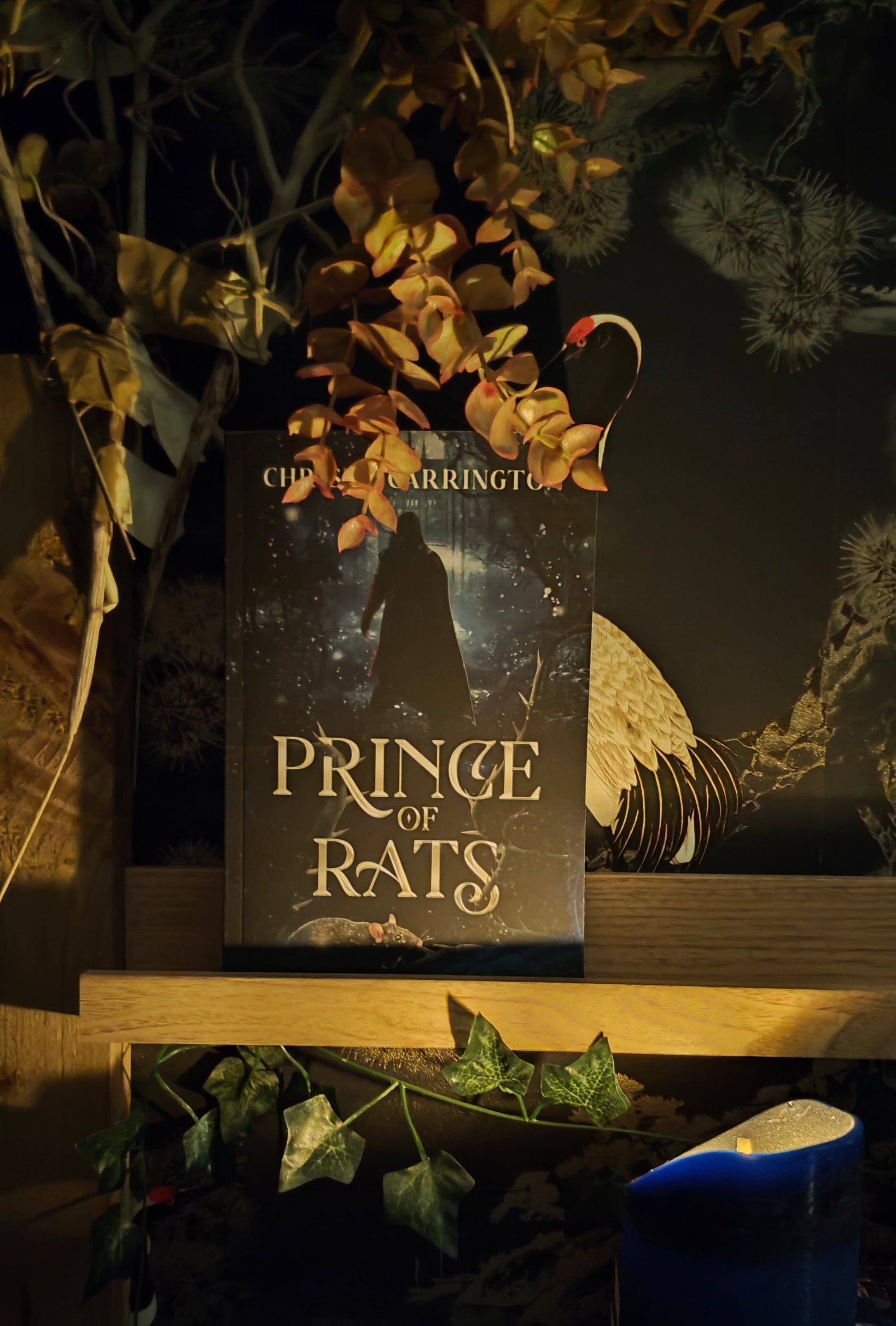 A book cover: Prince of Rats.