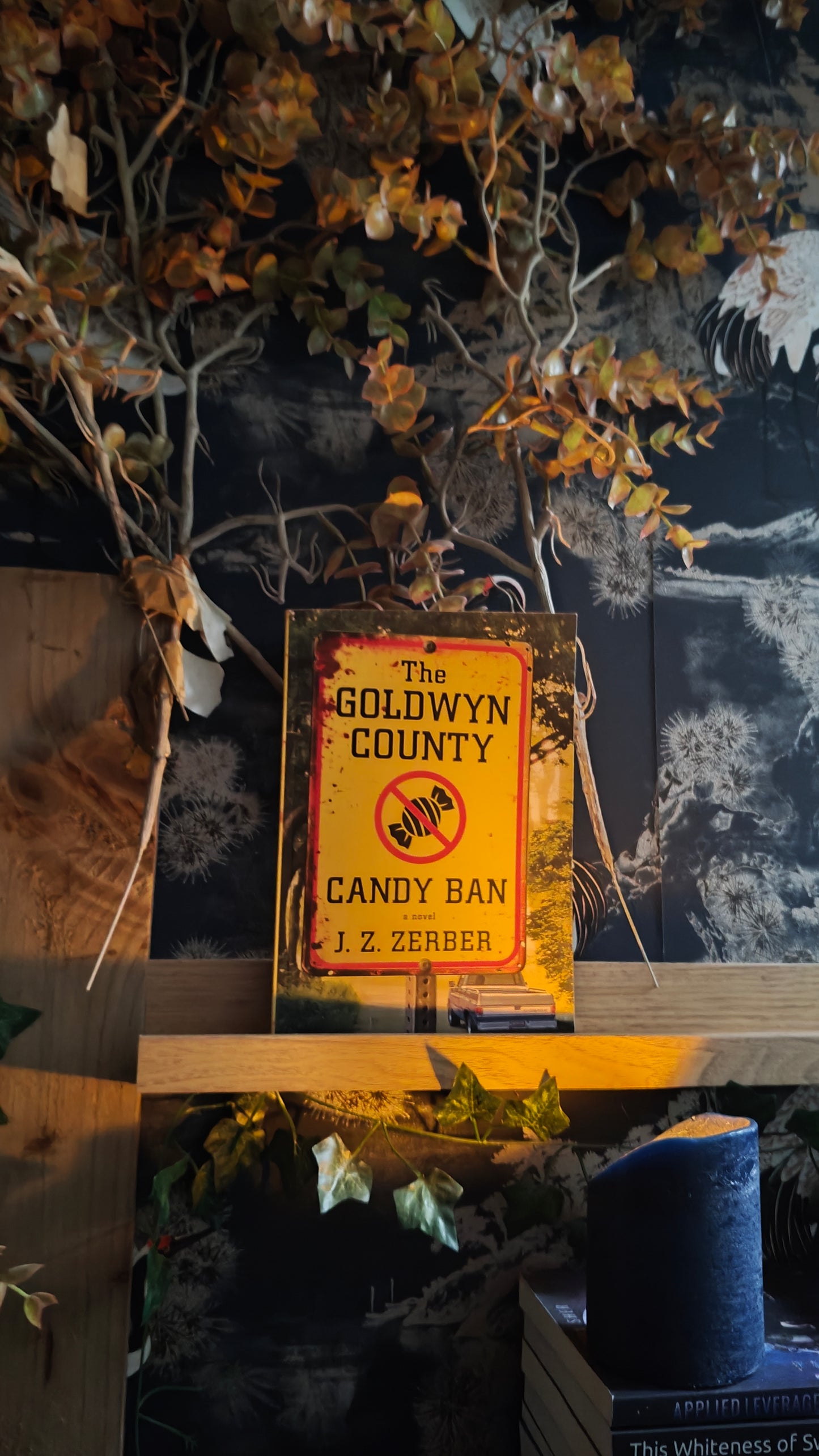 The Goldwyn County Candy Ban · J.Z. Zerber ✦ Indie Paperback