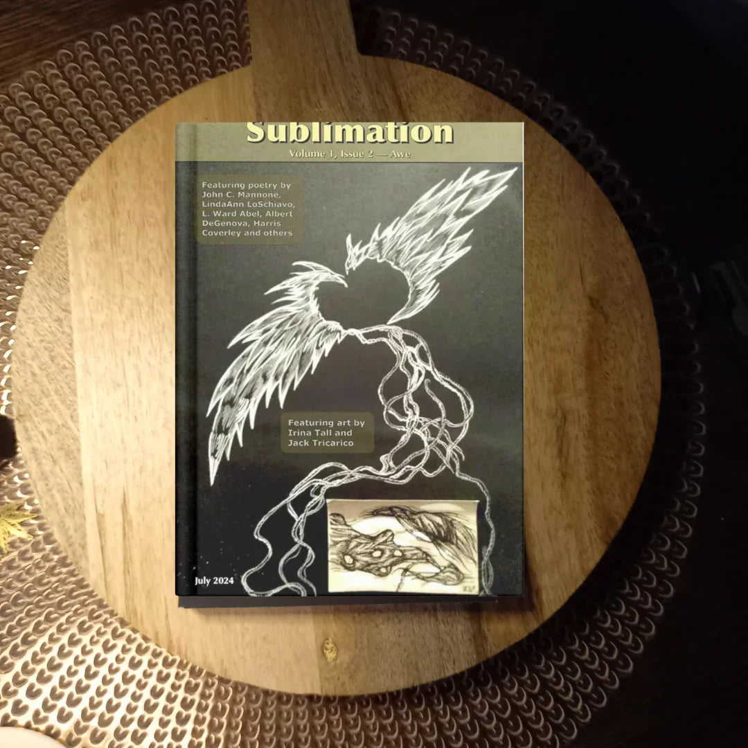 Sublimation Vol. 1 Issue 2 — Awe · T.S.S. Fulk ✦ Indie Paperback