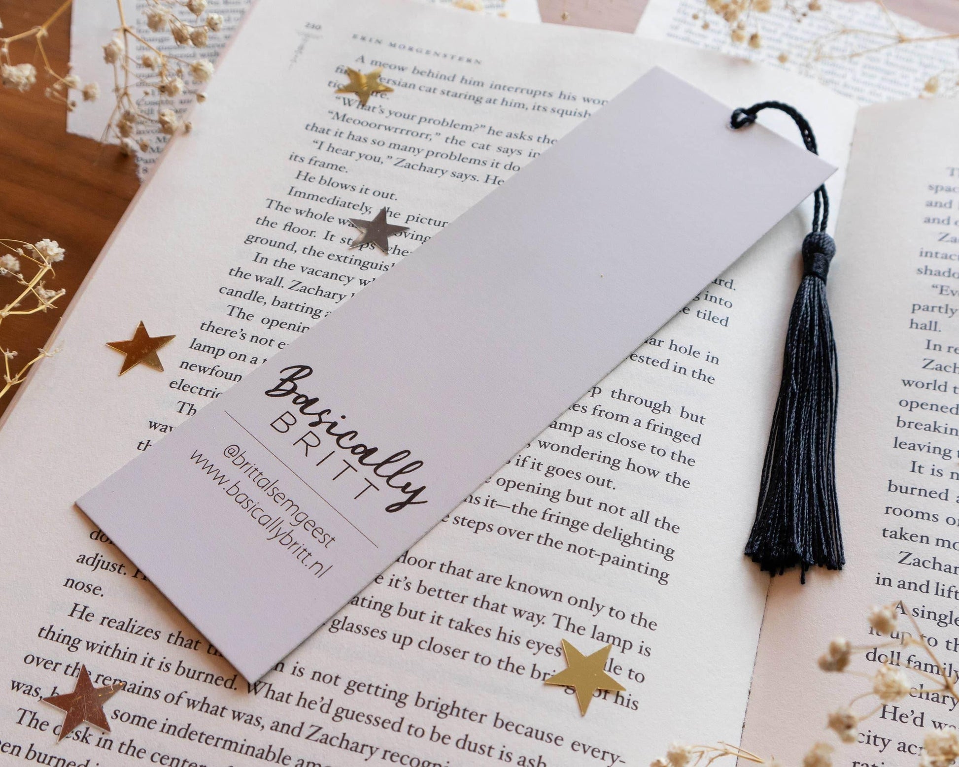 Basically Britt - Cabinet of Curiosities Bookmark - Dark Academia Vibes - The Dreamer's Bookshop.